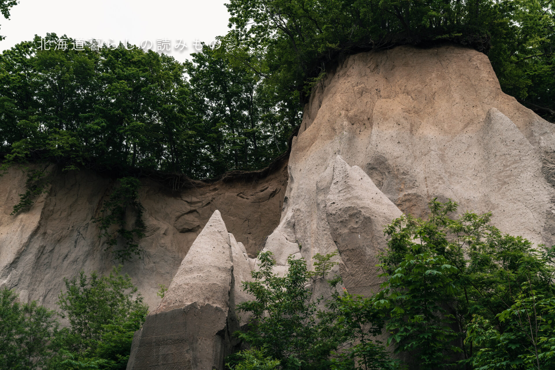 石山緑地｜あそびーばー札幌