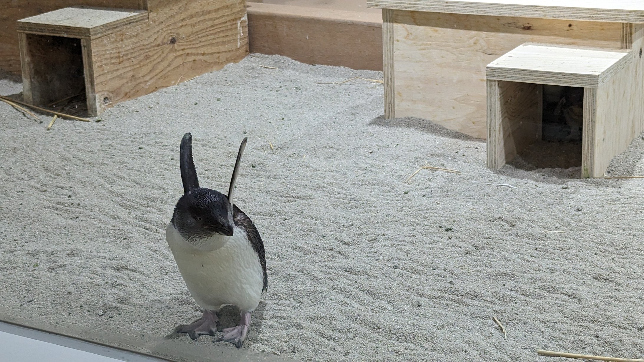 AOAO SAPPORO AOAO SAPPORO 画像2