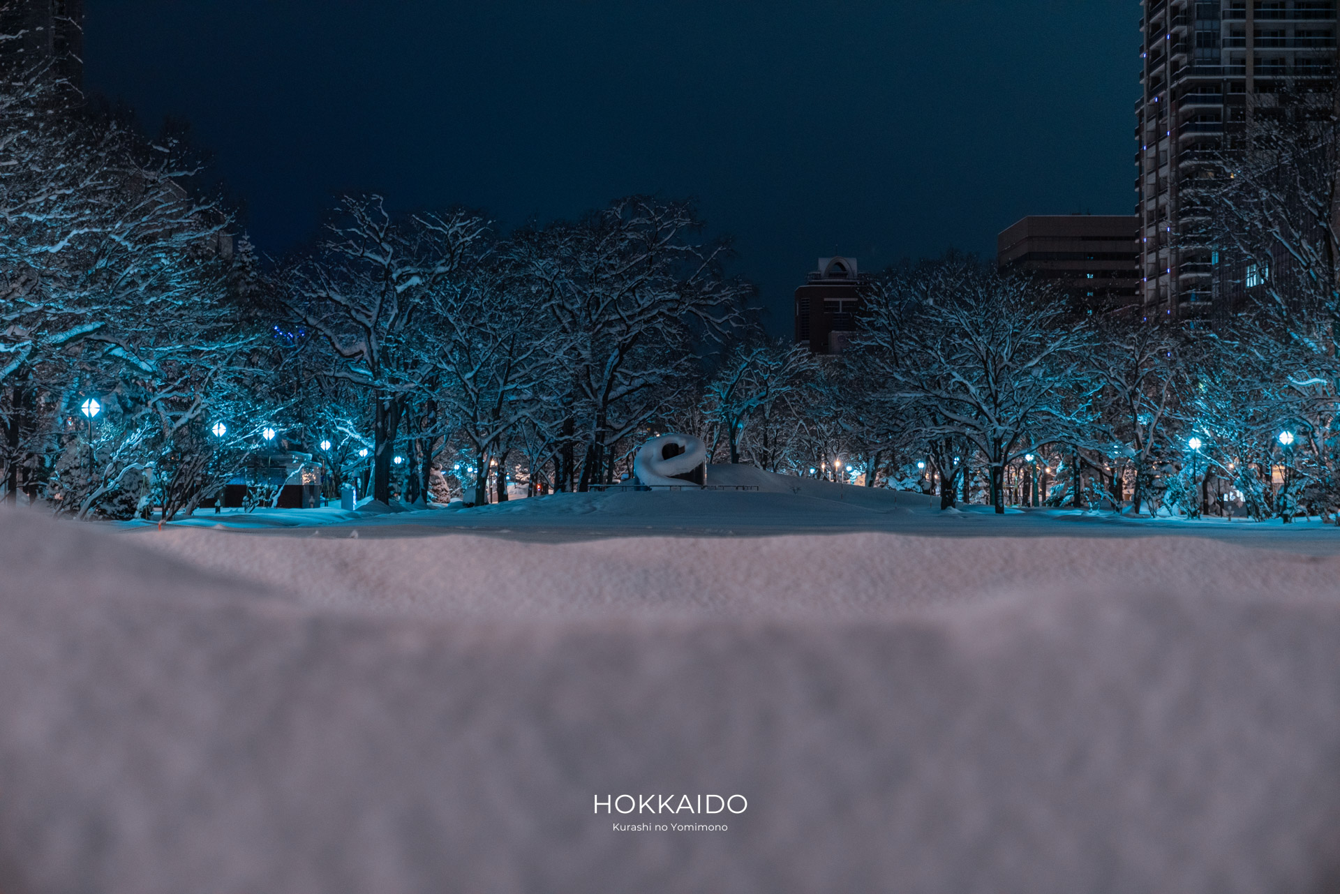 ブラック・スライド・マントラ Black Slide Mantra 画像4