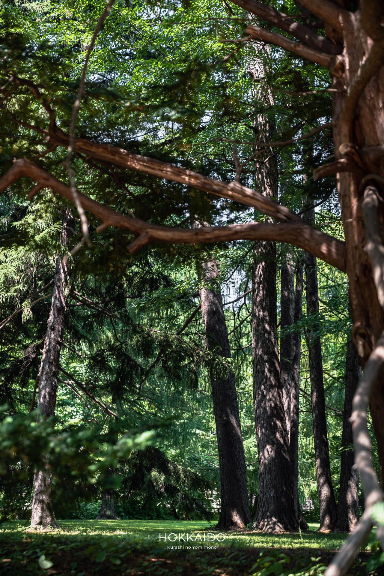 北海道大学植物園 Botanical garden of Hokkaido University 画像2