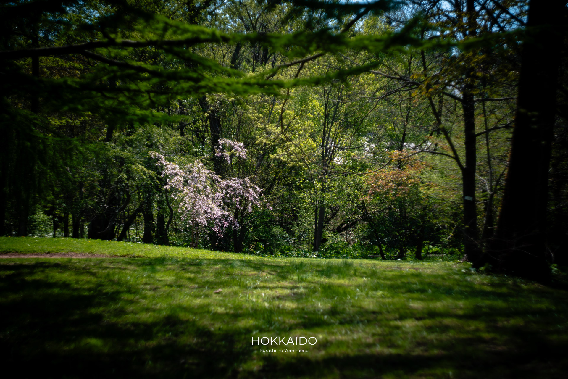 北海道大学植物園 Botanical garden of Hokkaido University 画像5