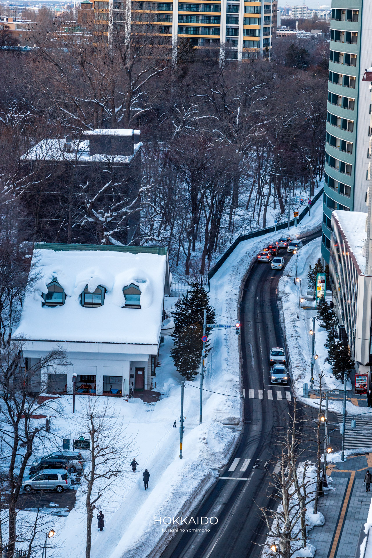 北海道大学植物園 Botanical garden of Hokkaido University 画像6