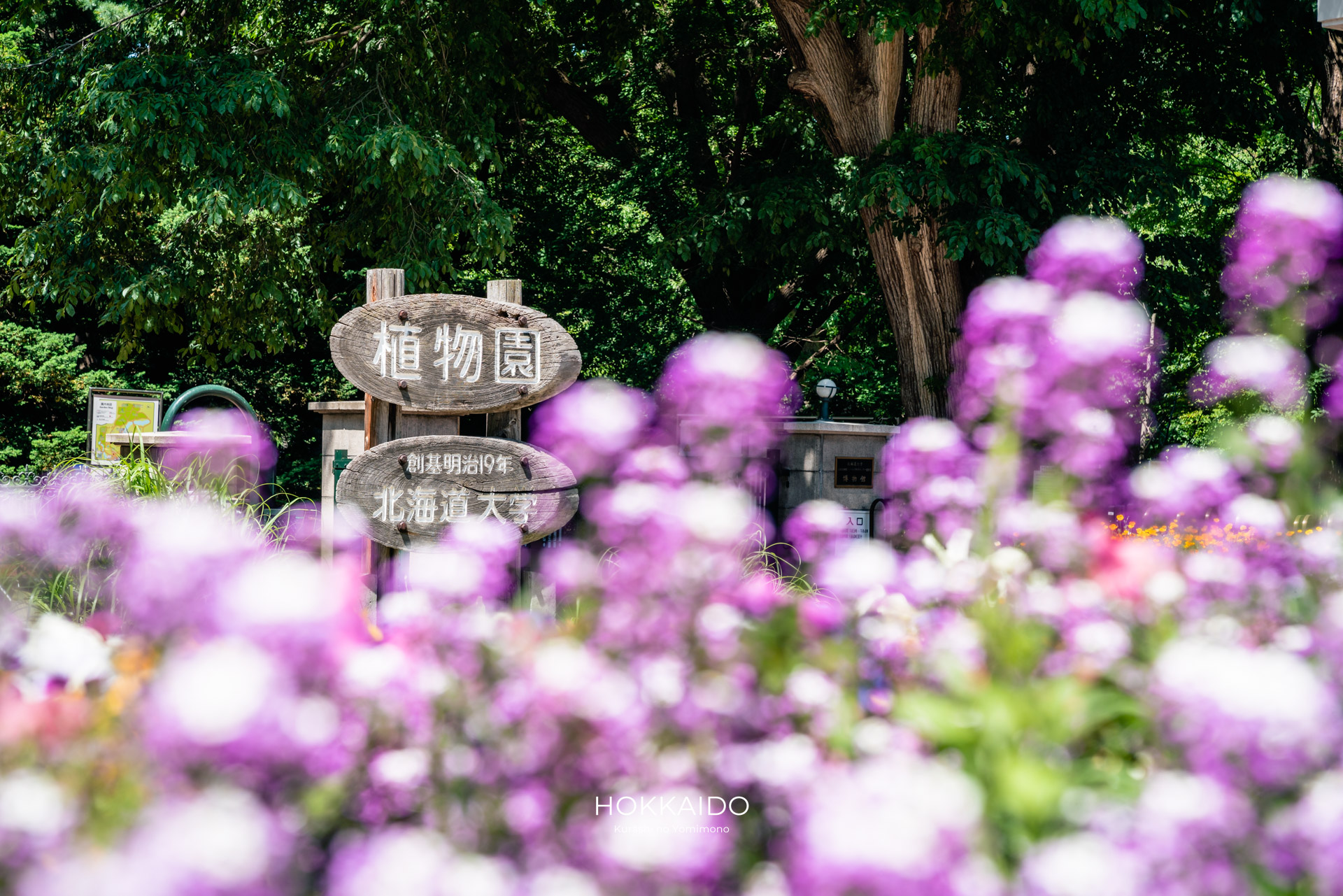 北海道大学植物園 Botanical garden of Hokkaido University 画像9