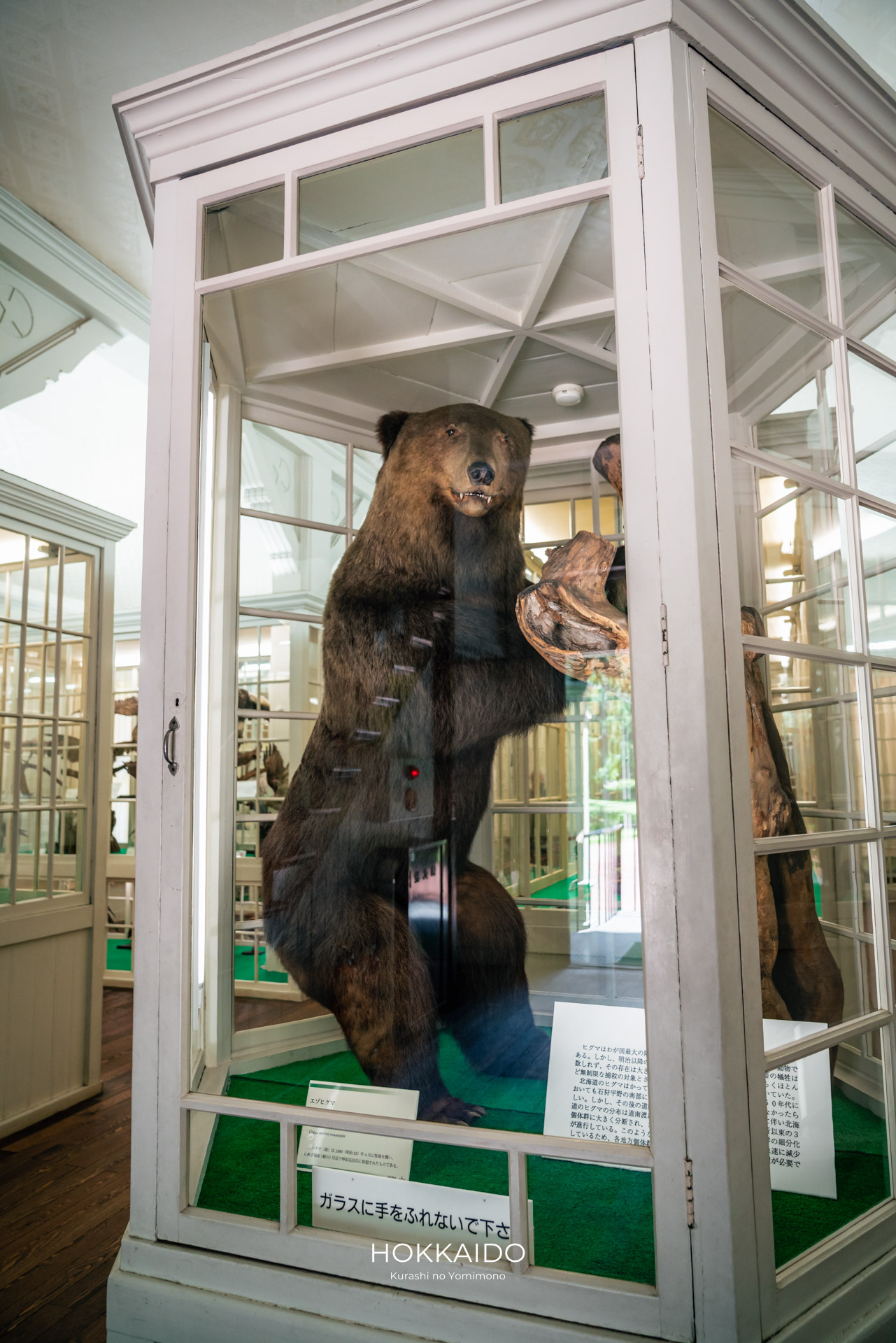北海道大学植物園 Botanical garden of Hokkaido University 画像14