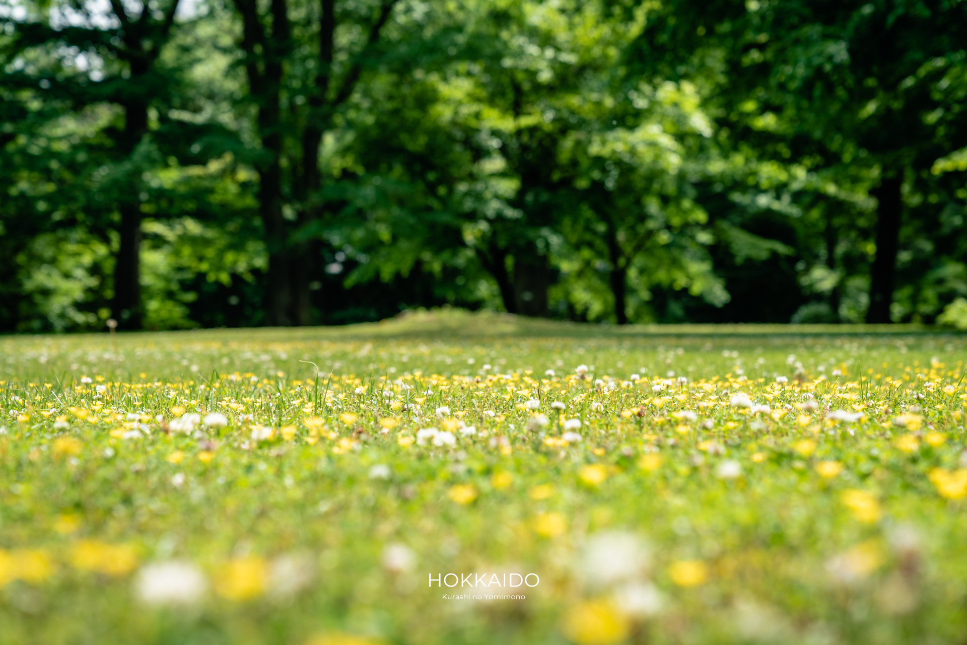 北海道大学植物園 Botanical garden of Hokkaido University 画像17