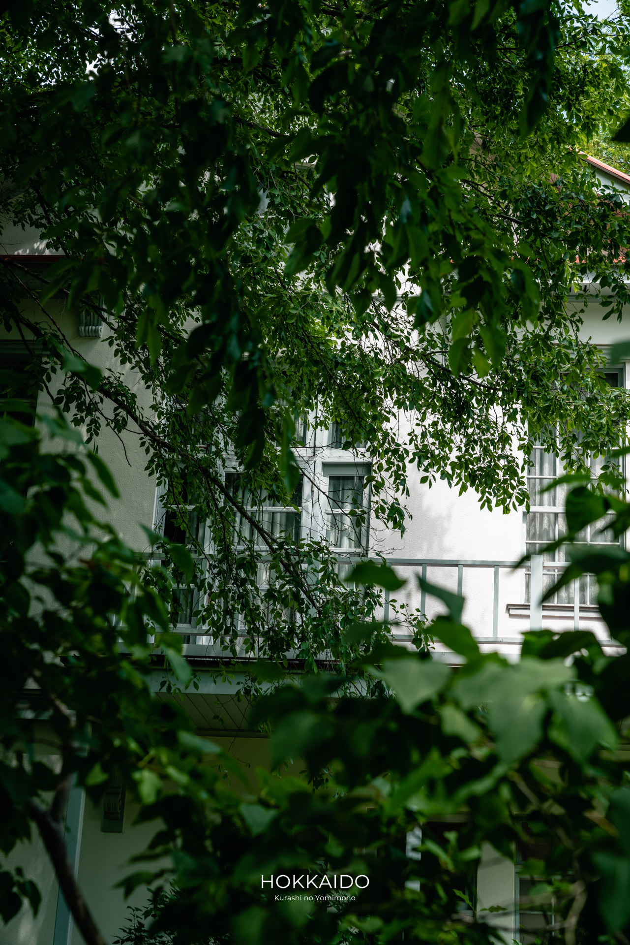 北海道大学植物園 Botanical garden of Hokkaido University 画像18