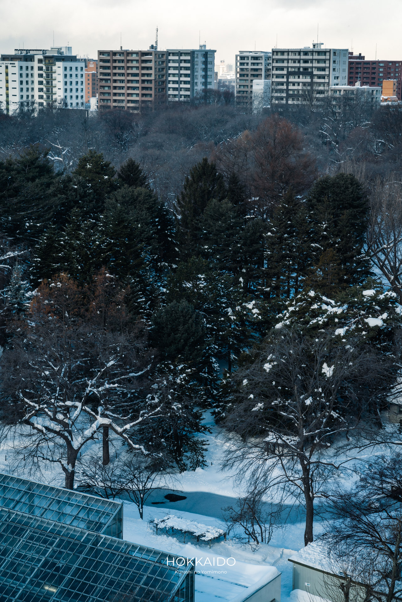 北海道大学植物園 Botanical garden of Hokkaido University 画像21