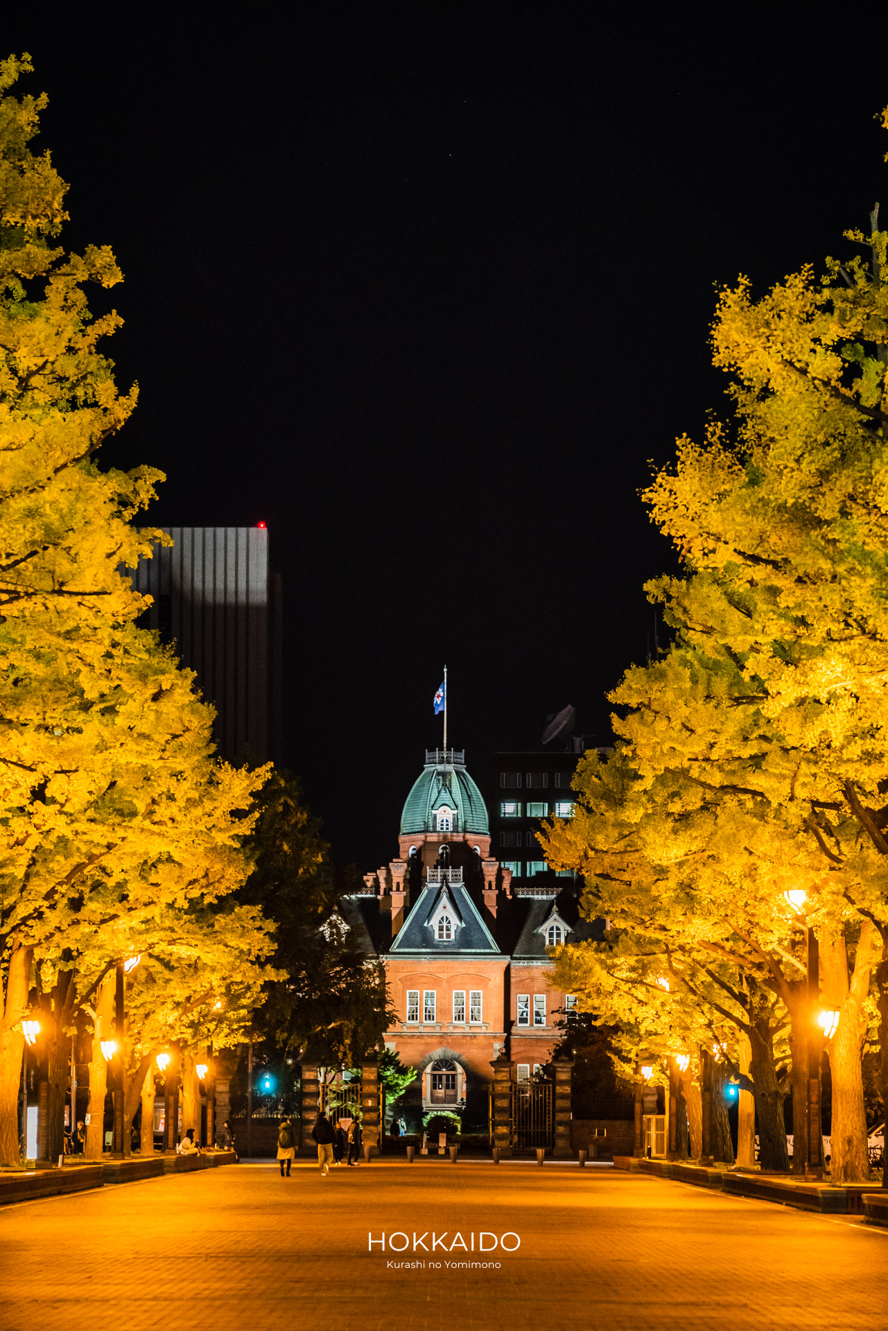 北海道庁旧本庁舎 赤れんが庁舎 Former Hokkaido Government Office Building Red Brick Building 画像5
