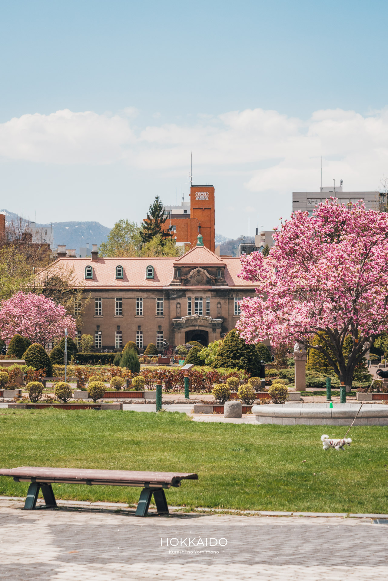 札幌市資料館（旧札幌控訴院庁舎） Former Sapporo Court of Appeals 画像4
