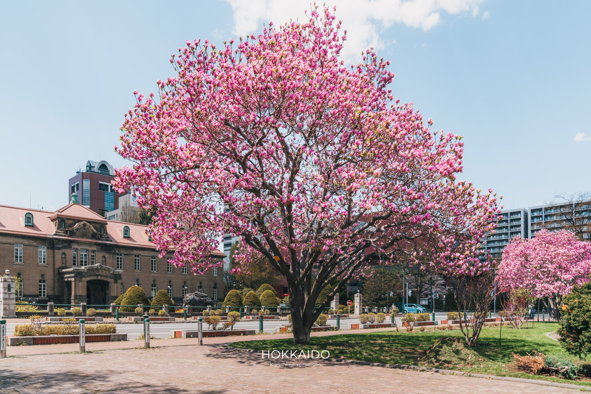 札幌市資料館（旧札幌控訴院庁舎） Former Sapporo Court of Appeals 画像5