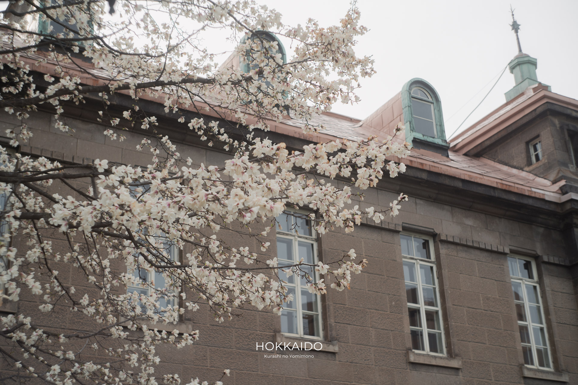 札幌市資料館（旧札幌控訴院庁舎） Former Sapporo Court of Appeals 画像6