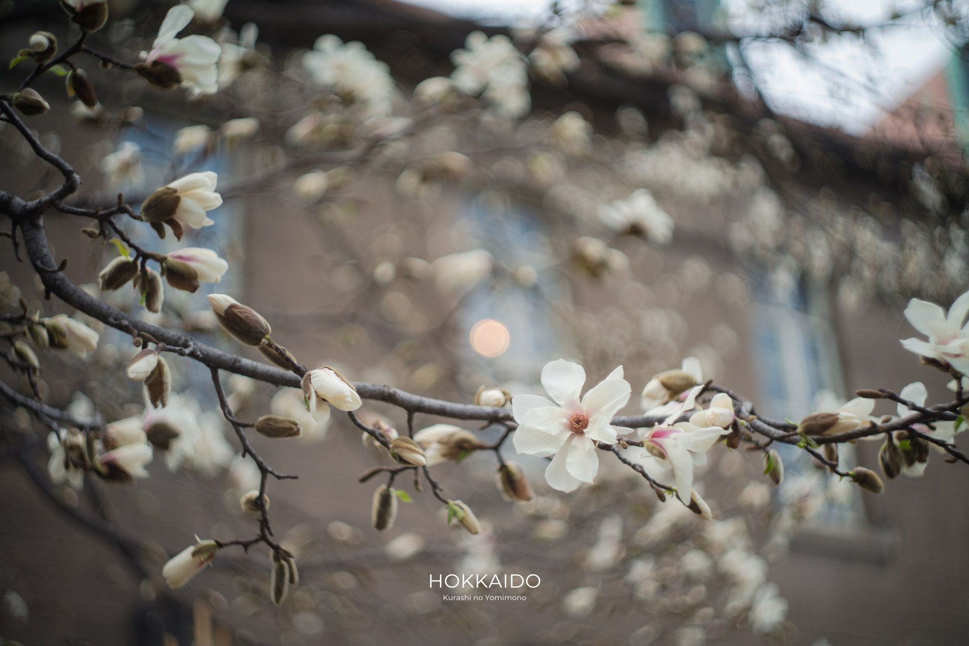 札幌市資料館（旧札幌控訴院庁舎） Former Sapporo Court of Appeals 画像7