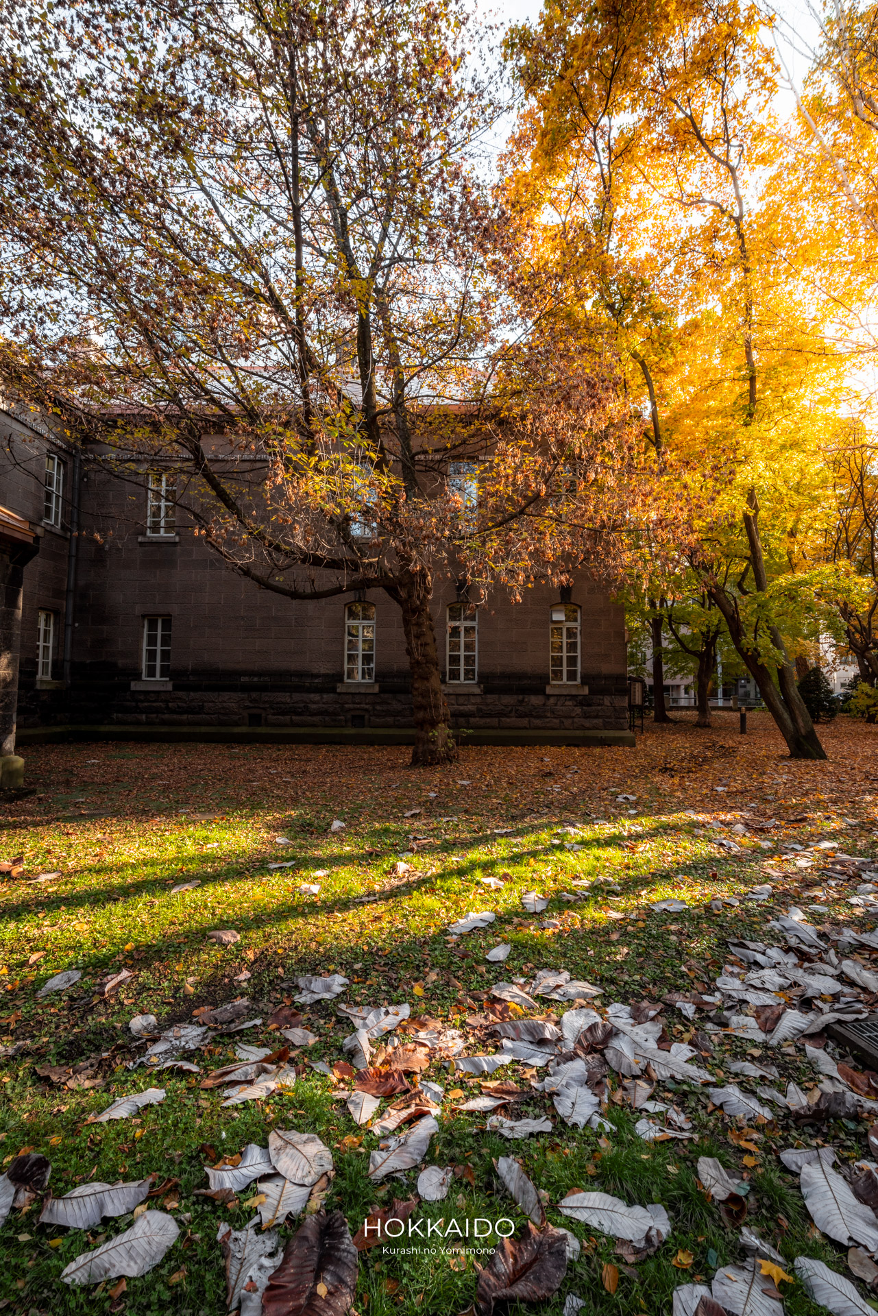 札幌市資料館（旧札幌控訴院庁舎） Former Sapporo Court of Appeals 画像11