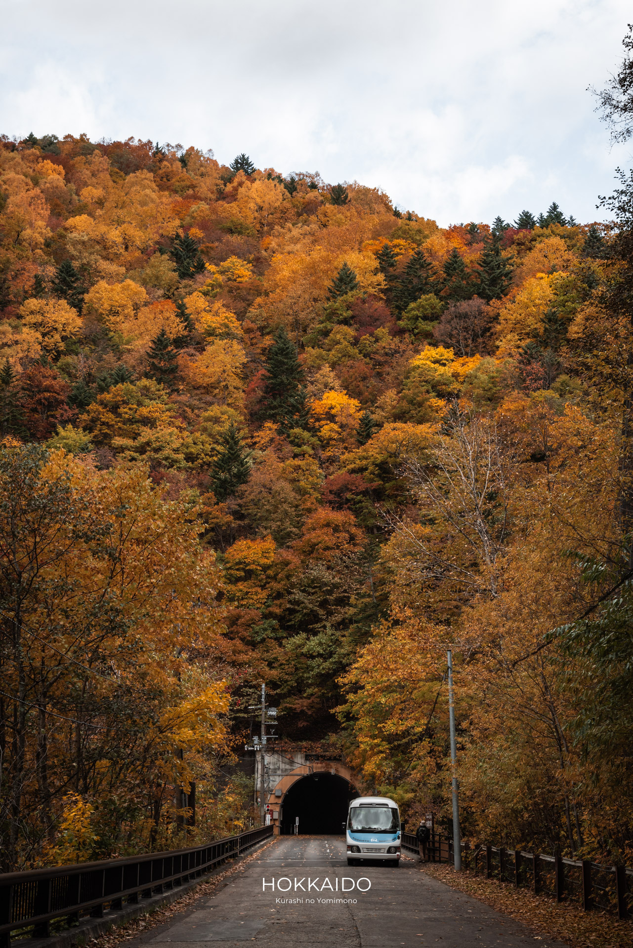 豊平峡 Hoheikyo Gorge 画像3