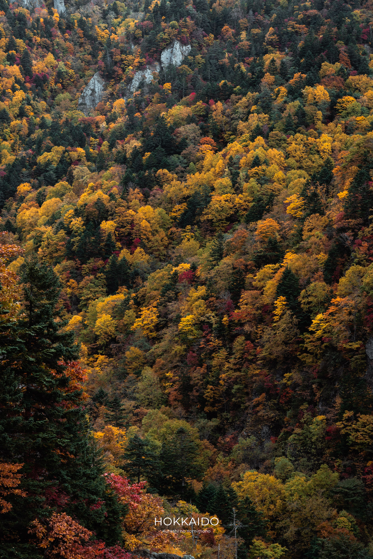 豊平峡 Hoheikyo Gorge 画像6