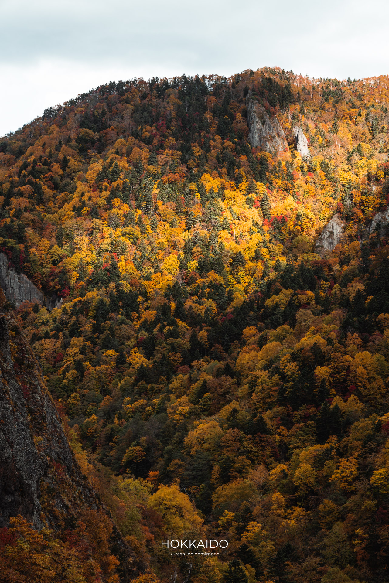 豊平峡 Hoheikyo Gorge 画像7