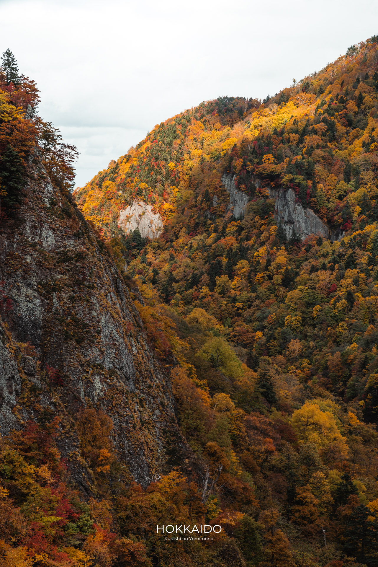 豊平峡 Hoheikyo Gorge 画像8