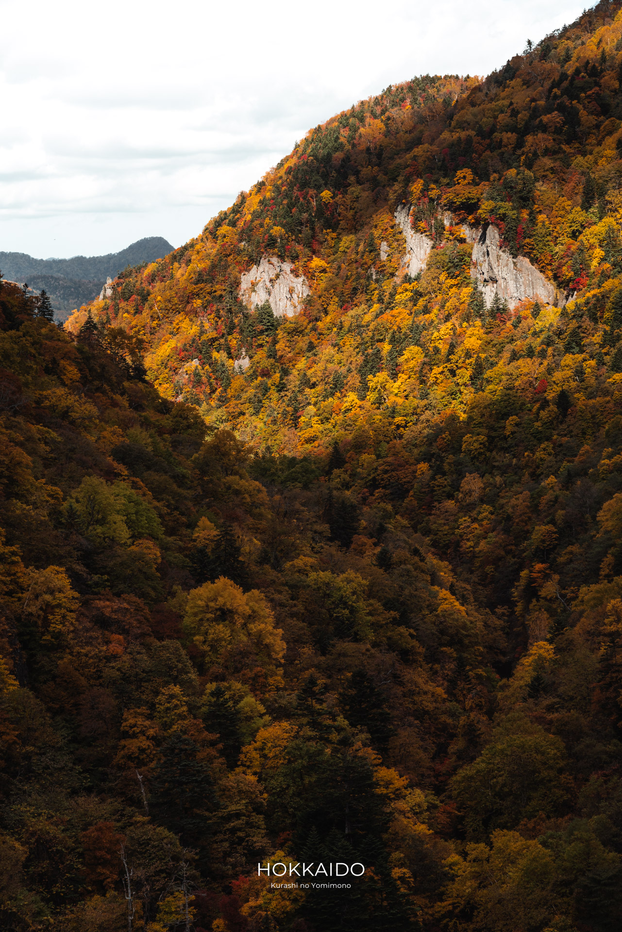 豊平峡 Hoheikyo Gorge 画像9