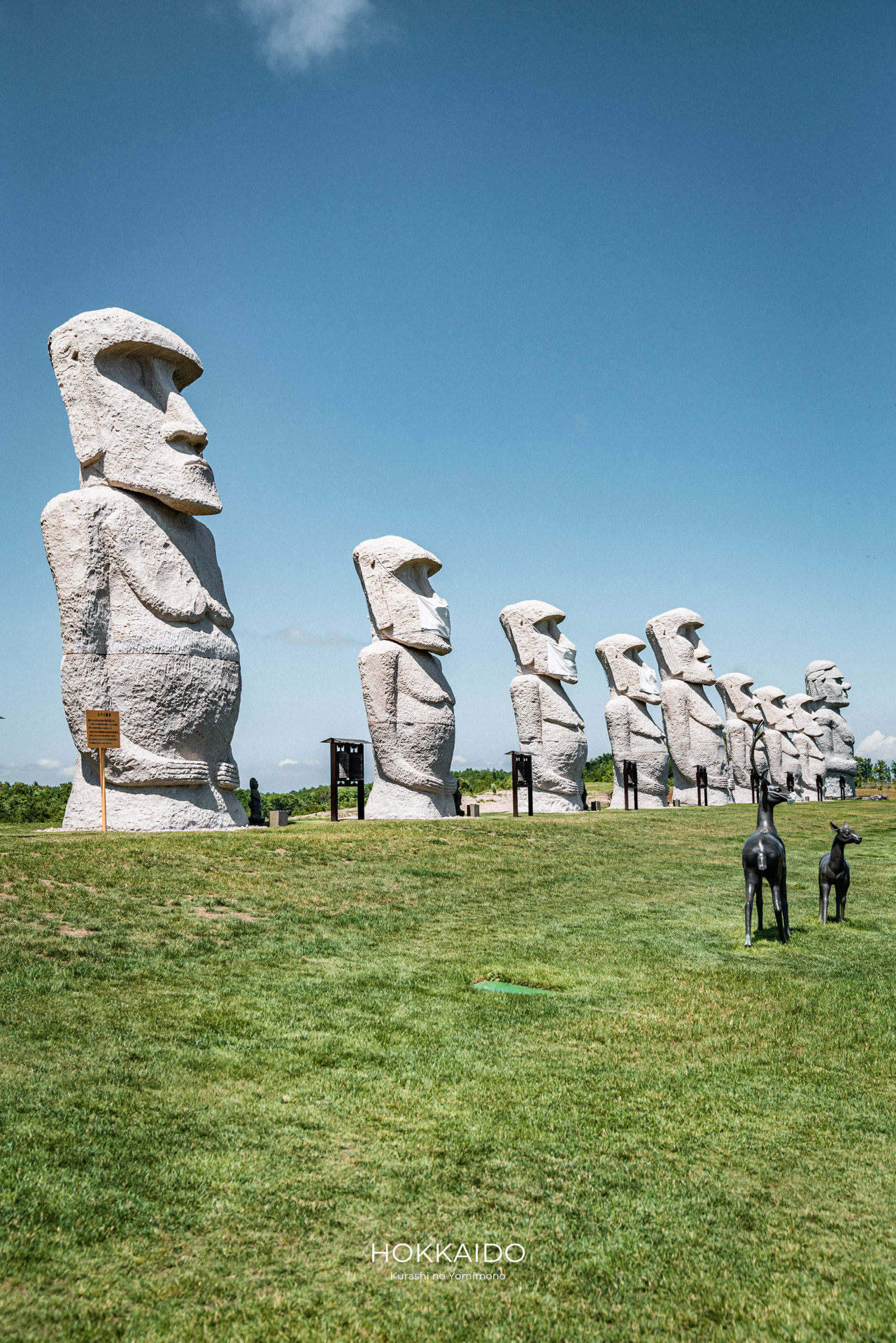 真駒内滝野霊園 Makomanai Takino Cemetery 画像12