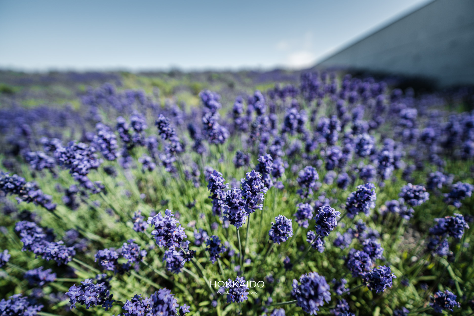 真駒内滝野霊園 Makomanai Takino Cemetery 画像13