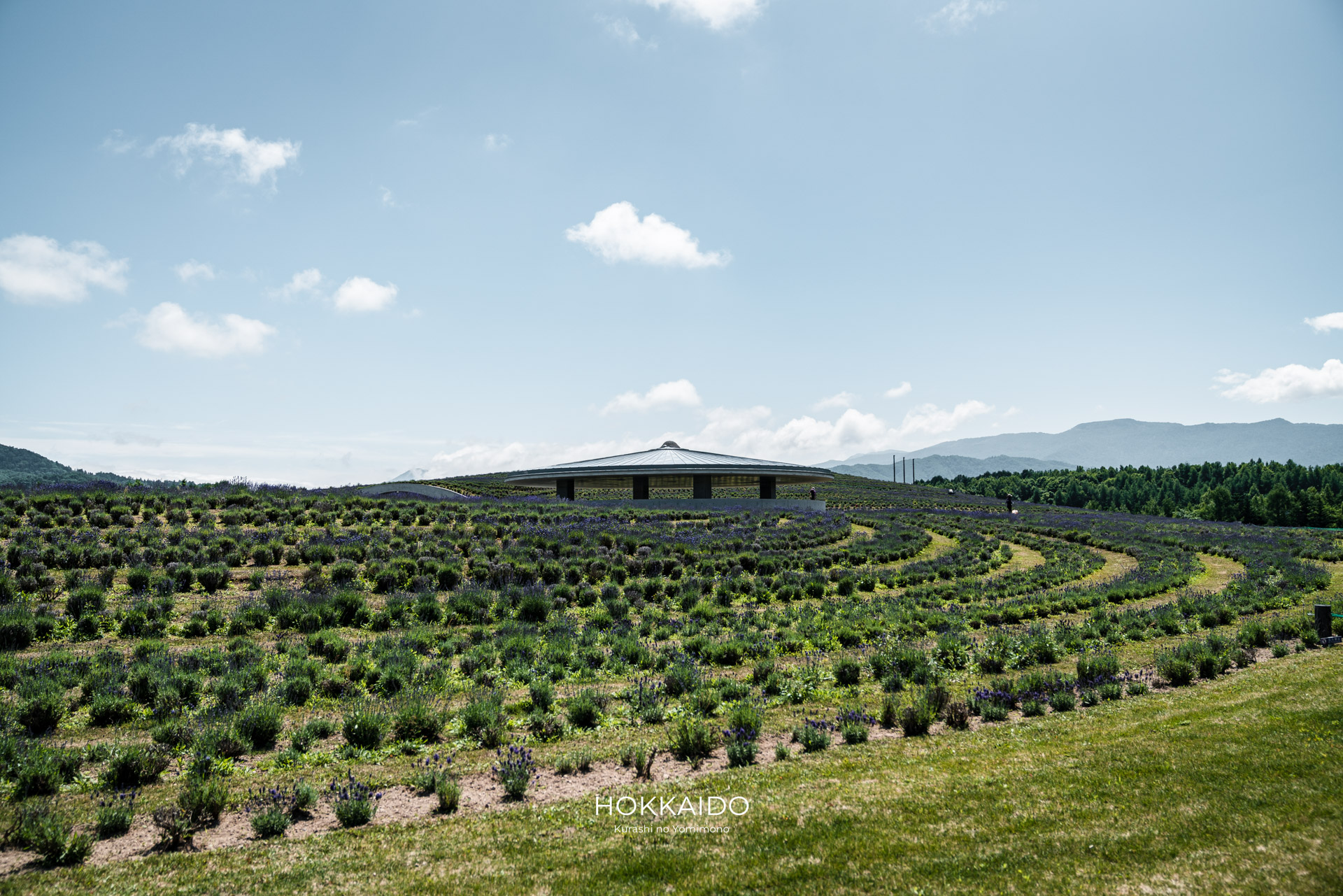 真駒内滝野霊園 Makomanai Takino Cemetery 画像16