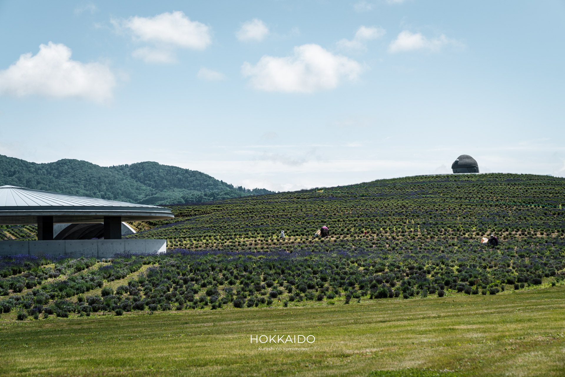 真駒内滝野霊園 Makomanai Takino Cemetery 画像17