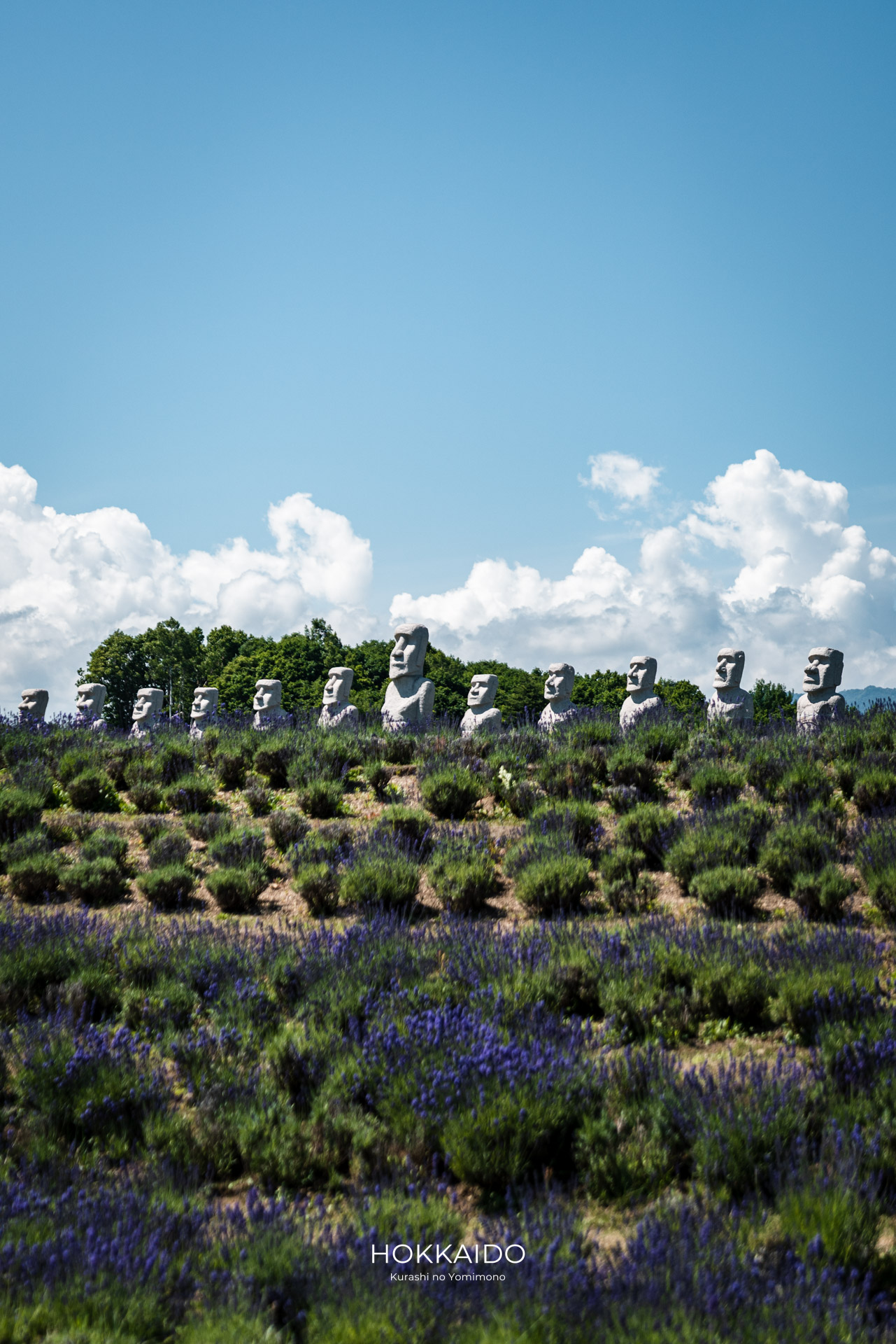 真駒内滝野霊園 Makomanai Takino Cemetery 画像18