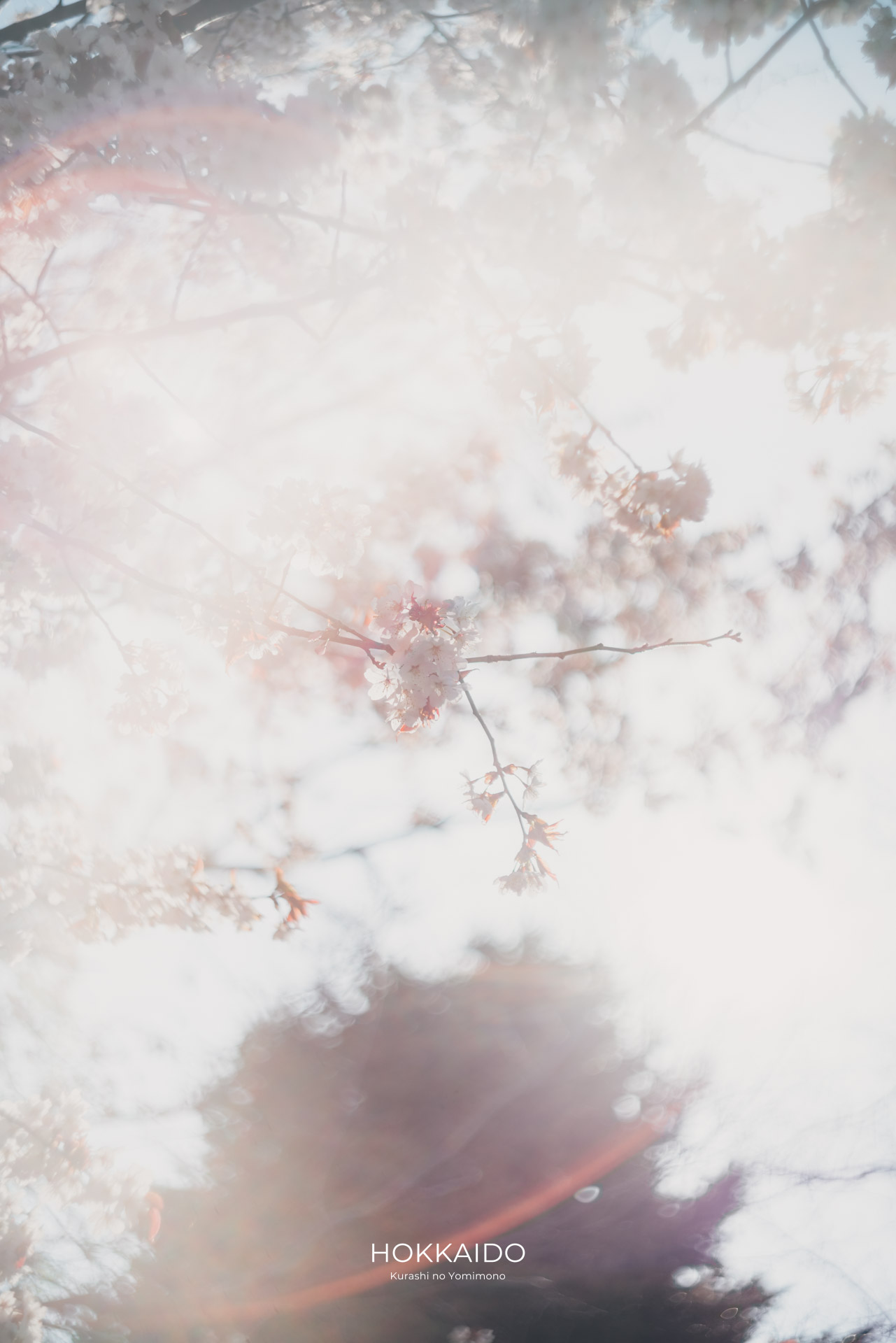 中島公園 Nakajima Park 画像4