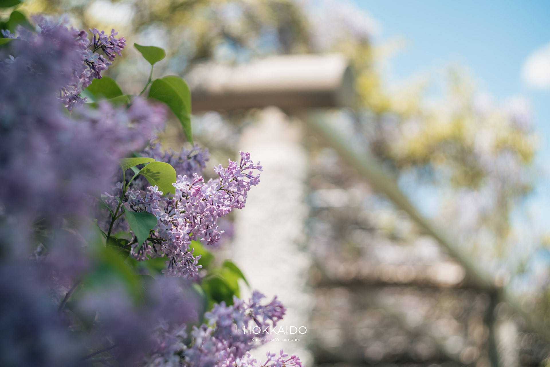 中島公園 Nakajima Park 画像5