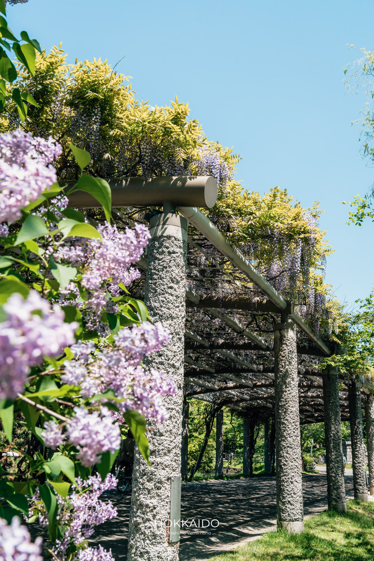 中島公園 Nakajima Park 画像6