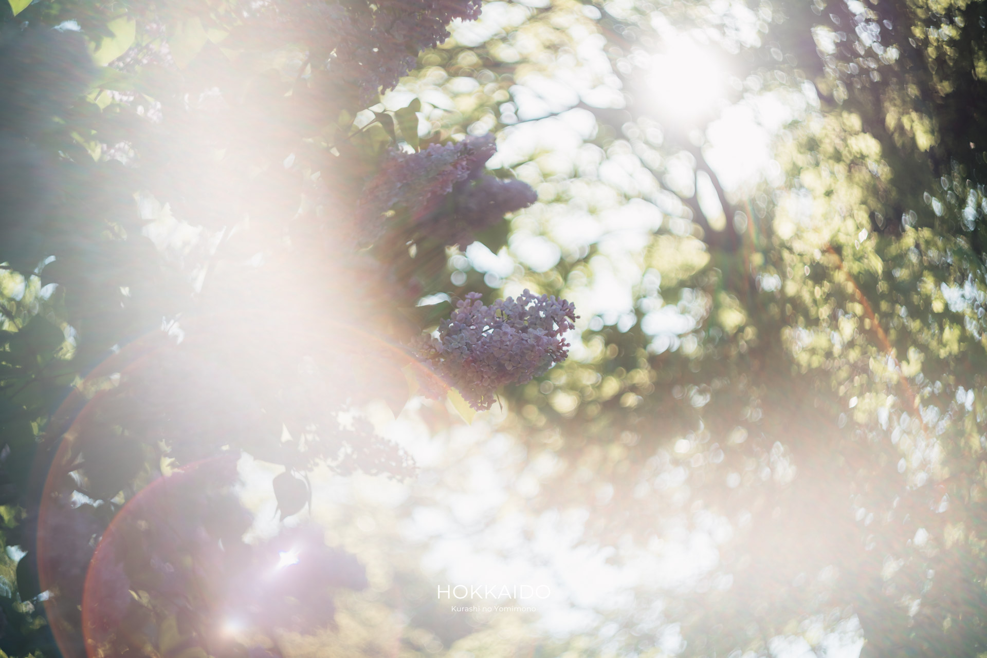 中島公園 Nakajima Park 画像7