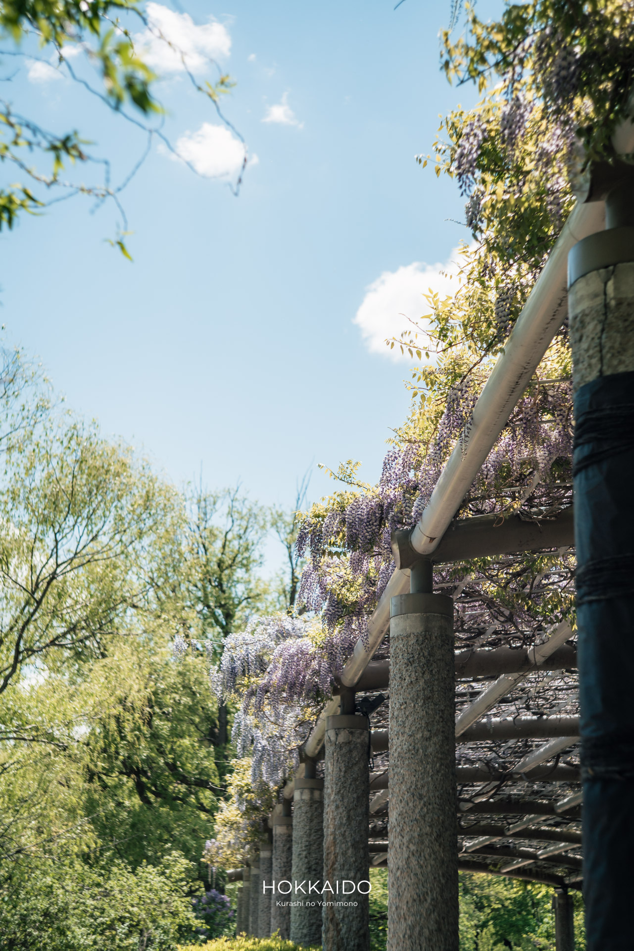 中島公園 Nakajima Park 画像8