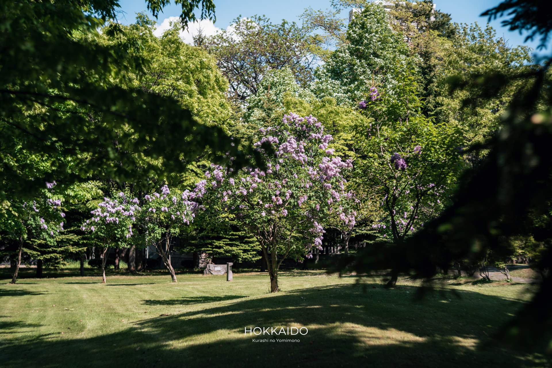 中島公園 Nakajima Park 画像11