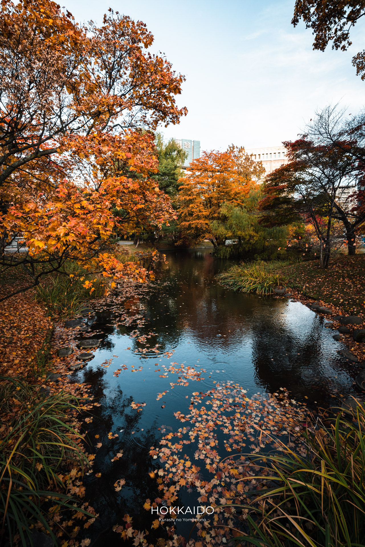 中島公園 Nakajima Park 画像12
