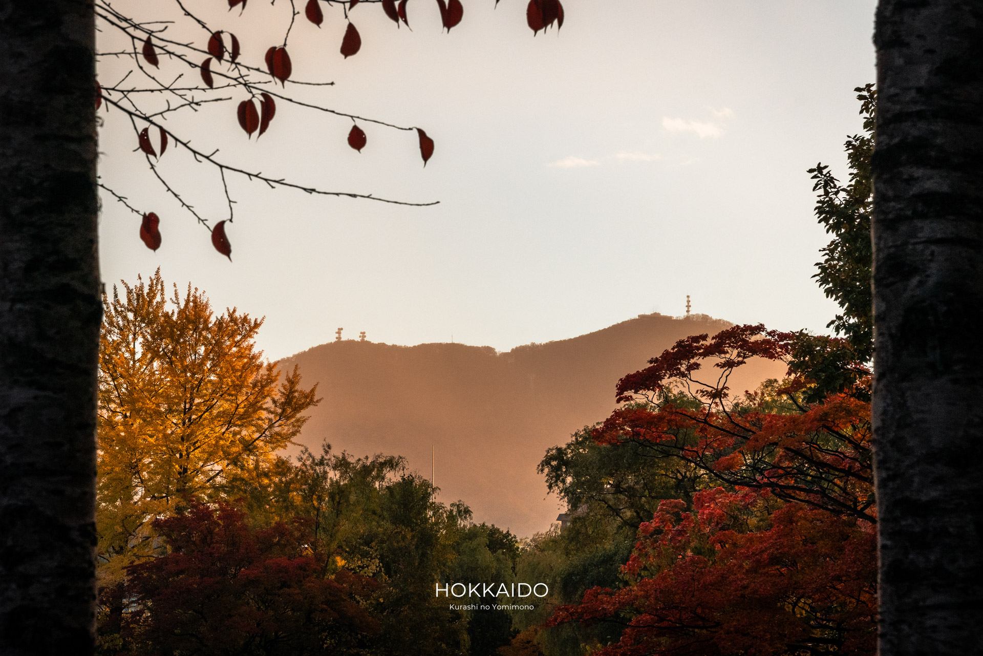 中島公園 Nakajima Park 画像16