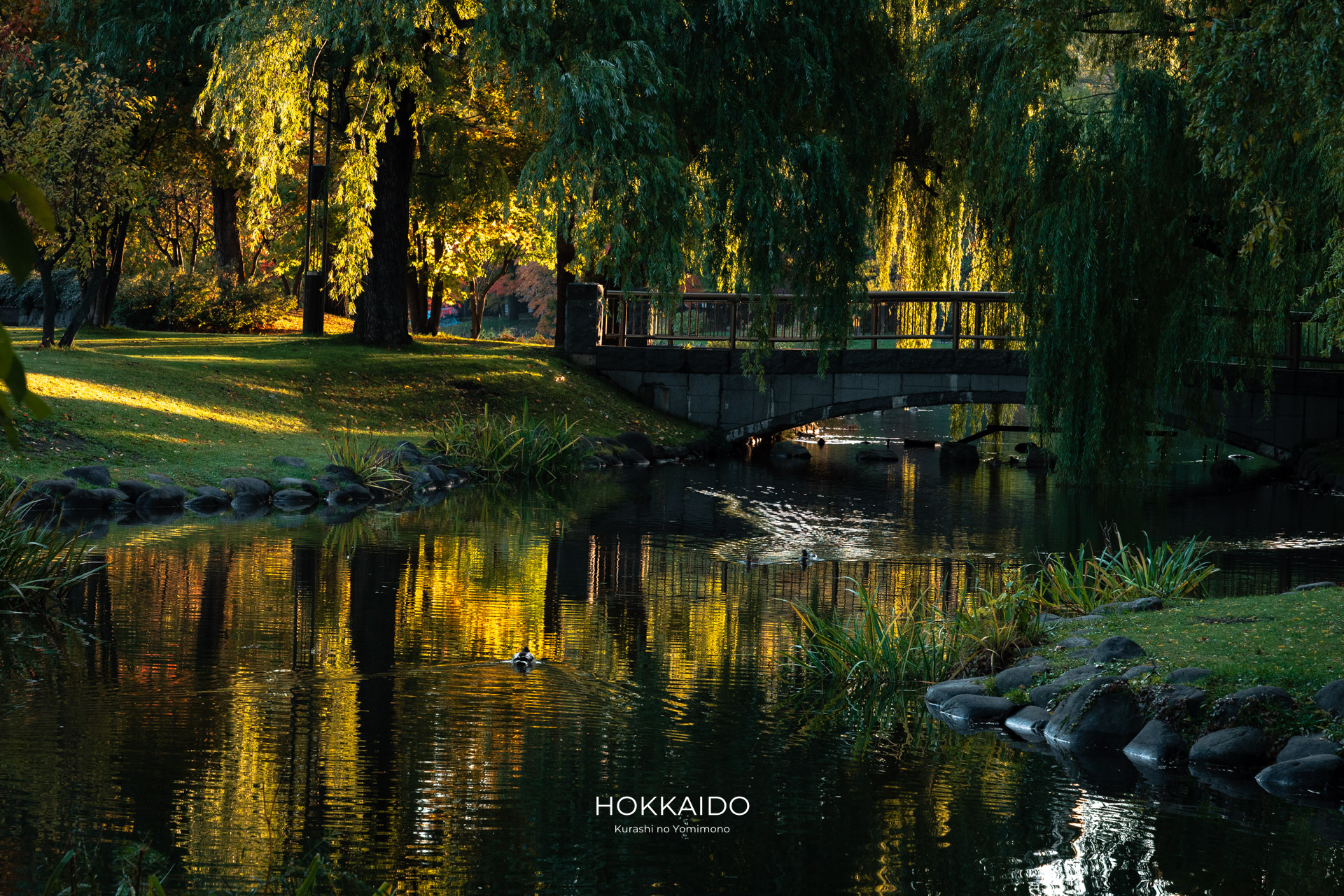 中島公園 Nakajima Park 画像19