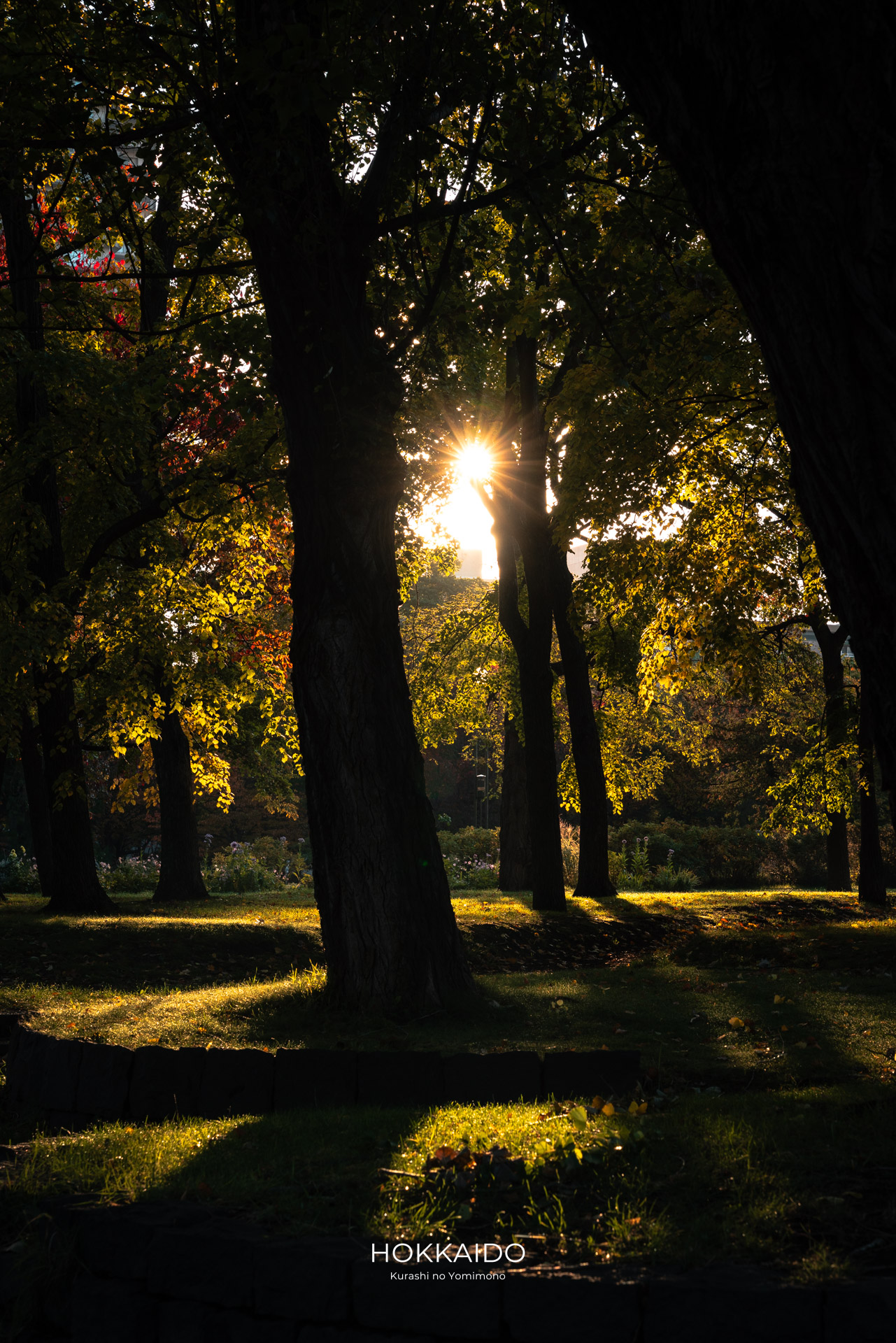 中島公園 Nakajima Park 画像20