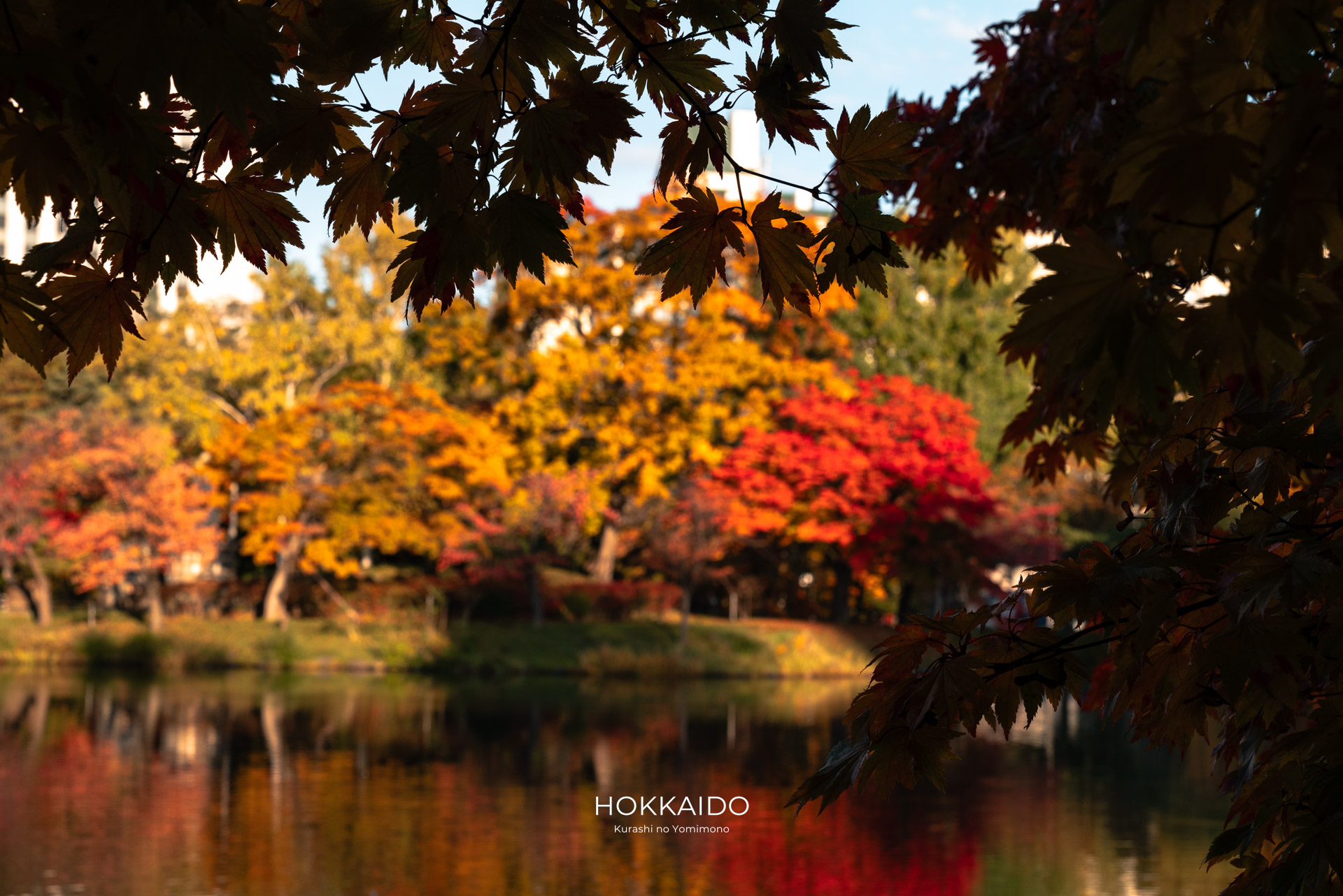 中島公園 Nakajima Park 画像21