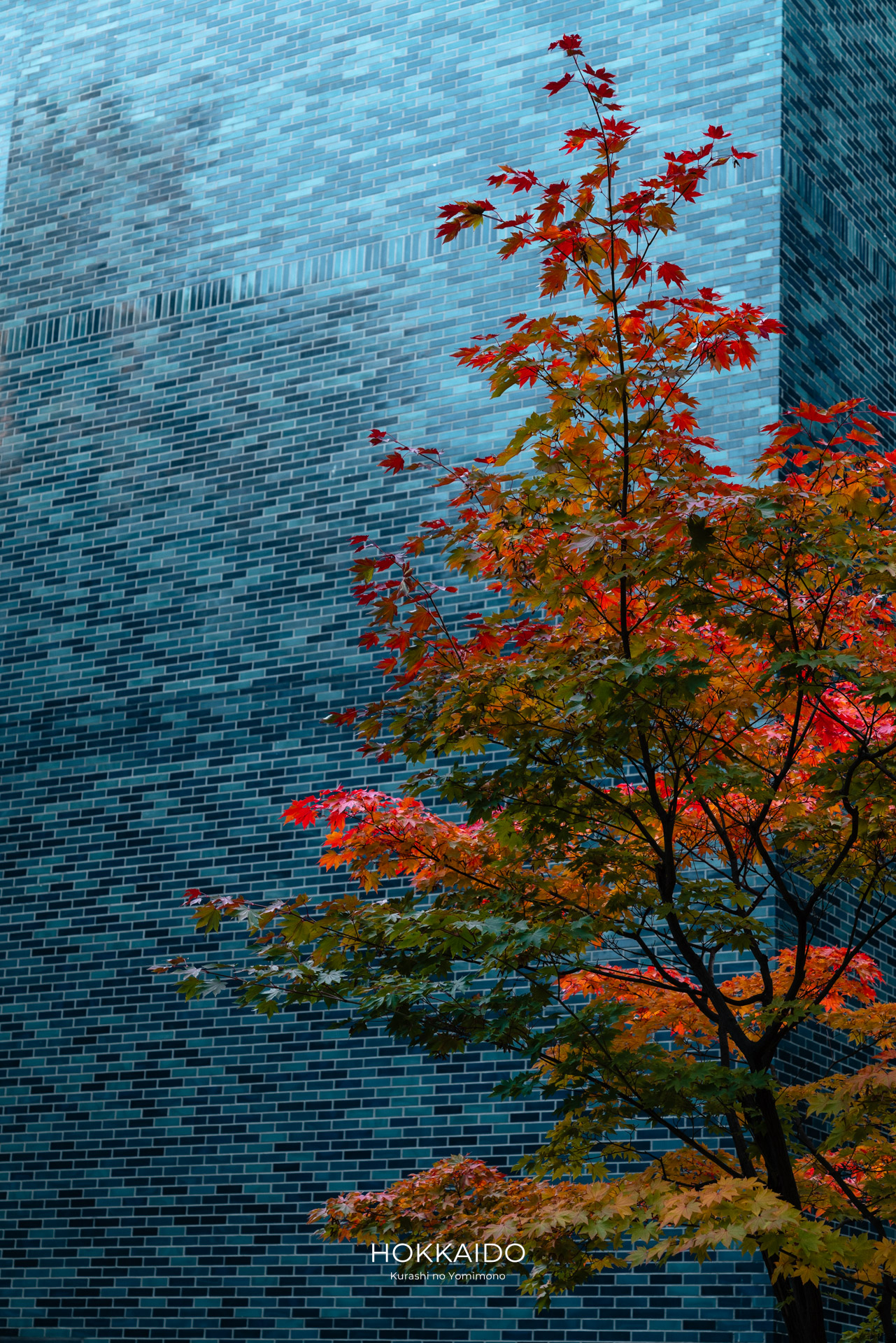 中島公園 Nakajima Park 画像22