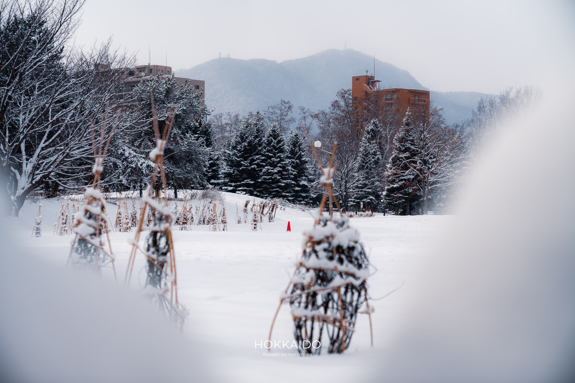 中島公園 Nakajima Park 画像23