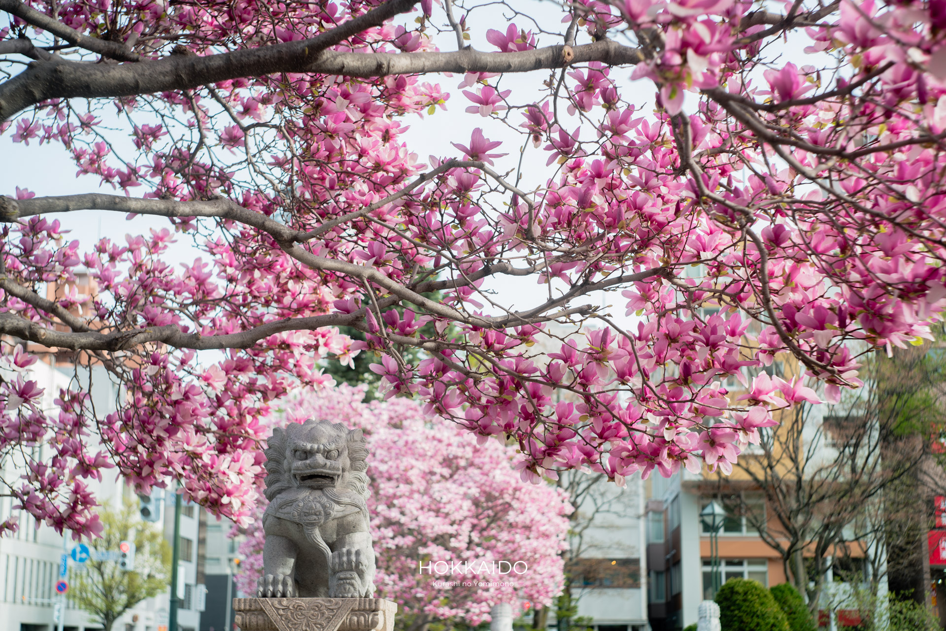 大通公園 Odori Park 画像2