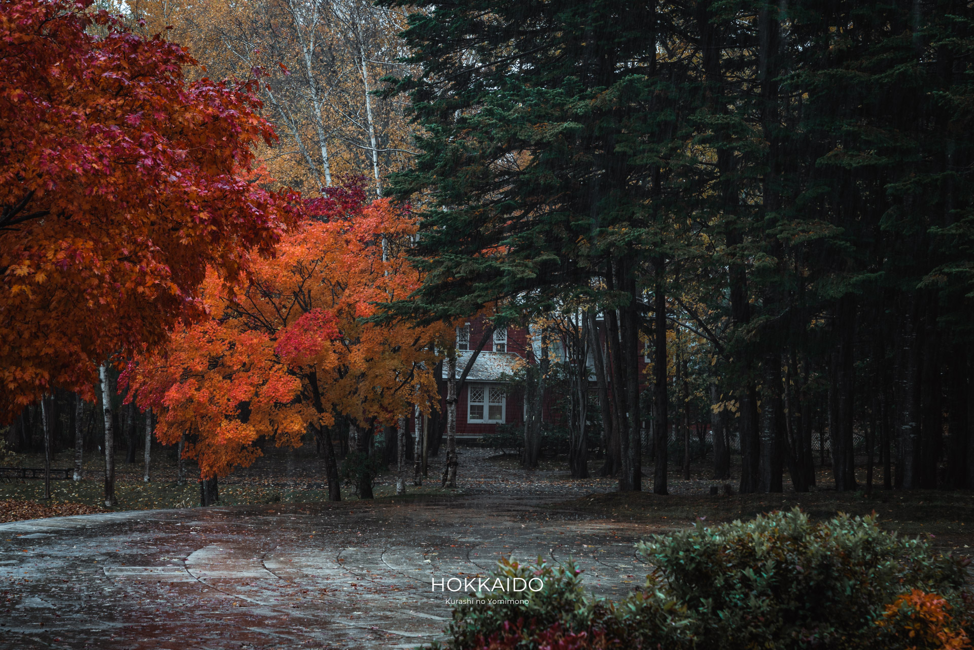 札幌芸術の森 Sapporo Art Park 画像3