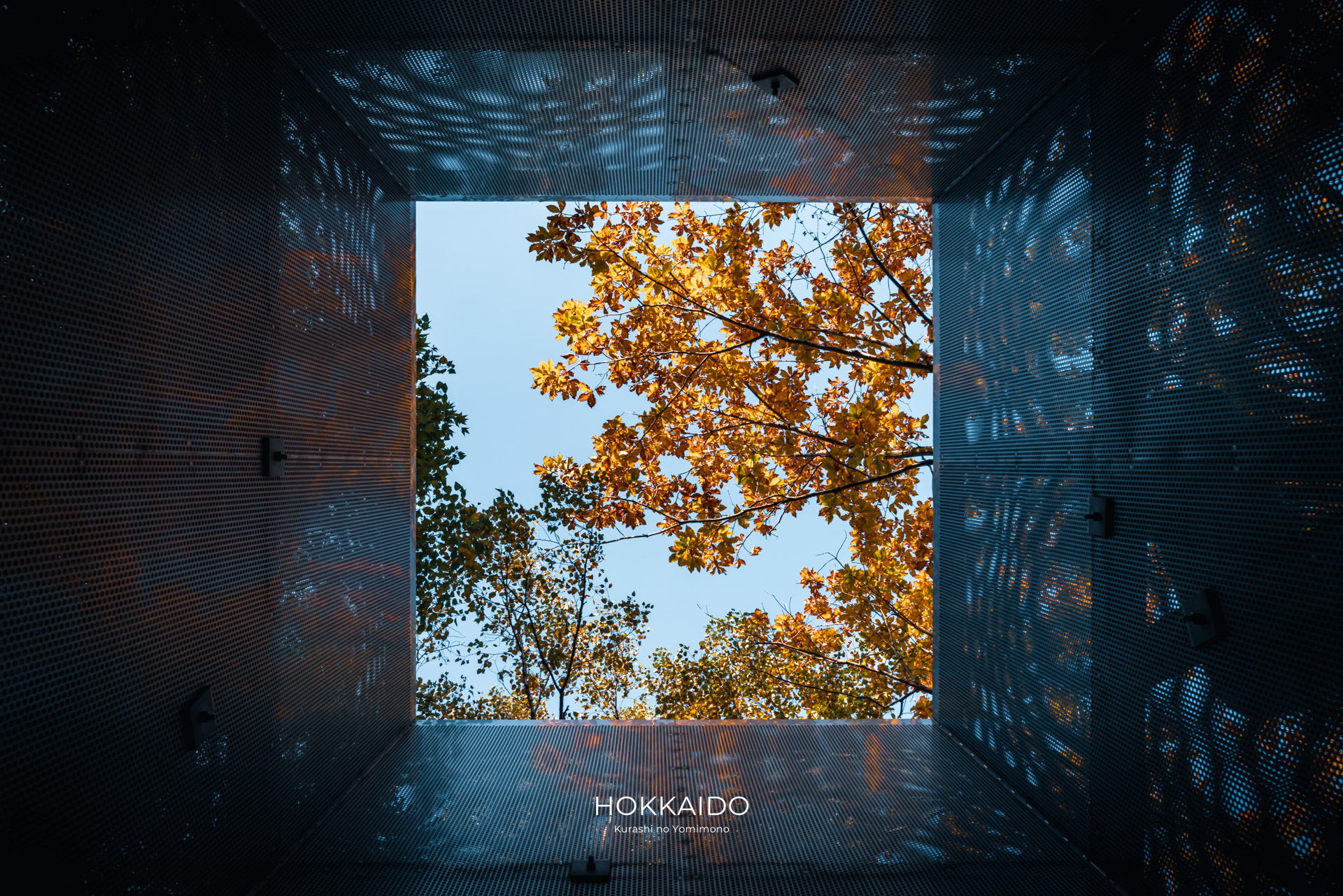 札幌芸術の森 Sapporo Art Park 画像4