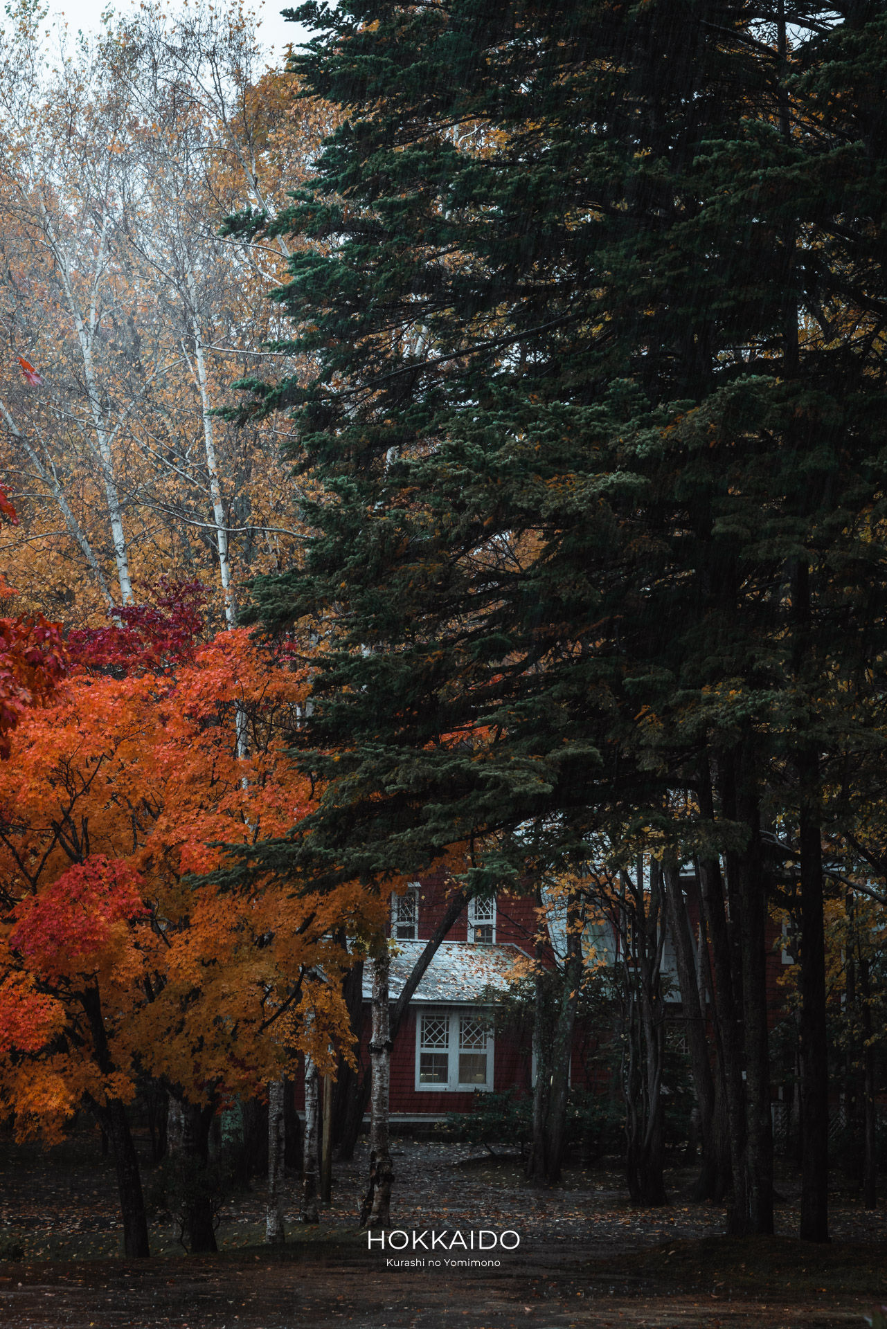 札幌芸術の森 Sapporo Art Park 画像7