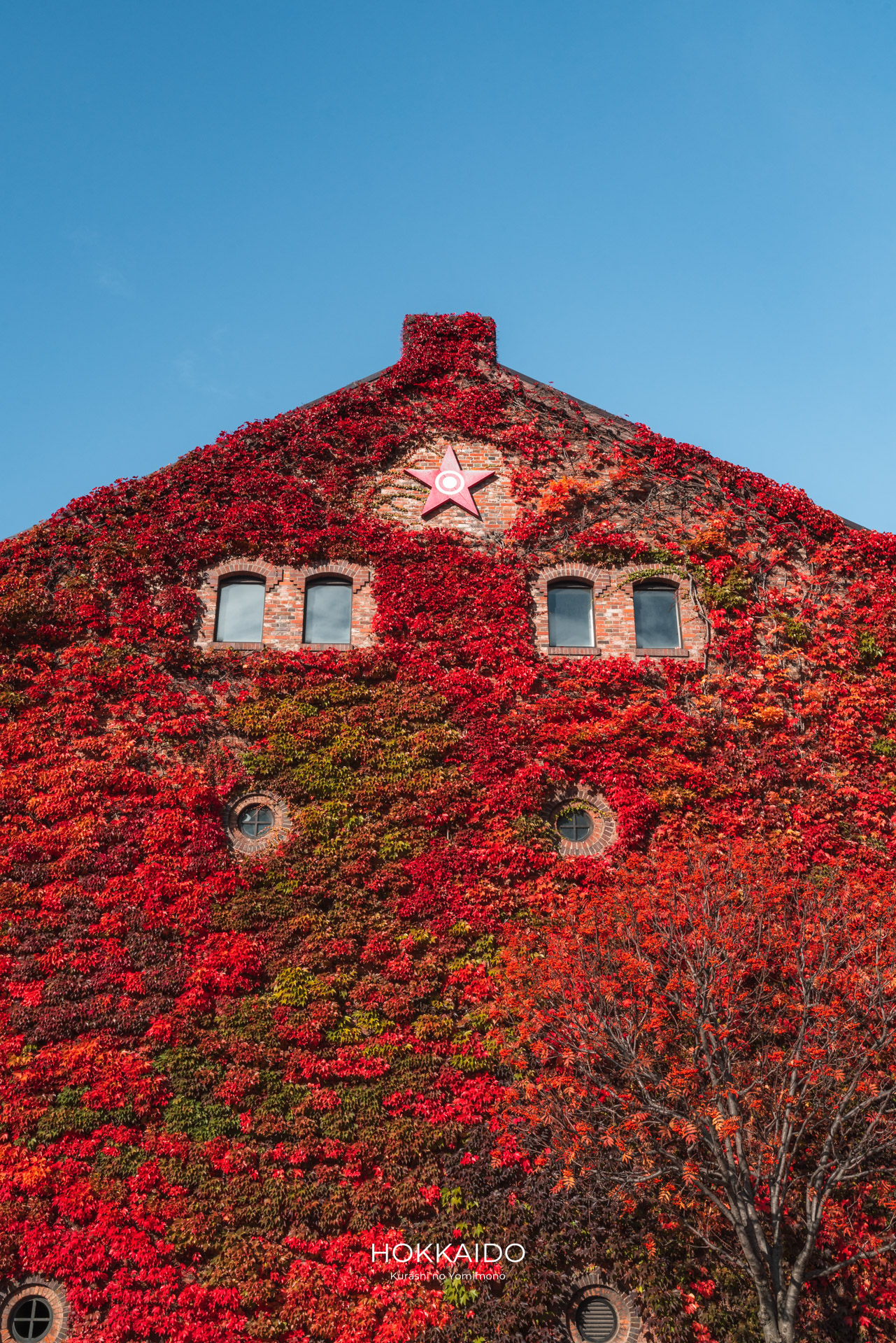 サッポロファクトリー Sapporo Factory 画像4