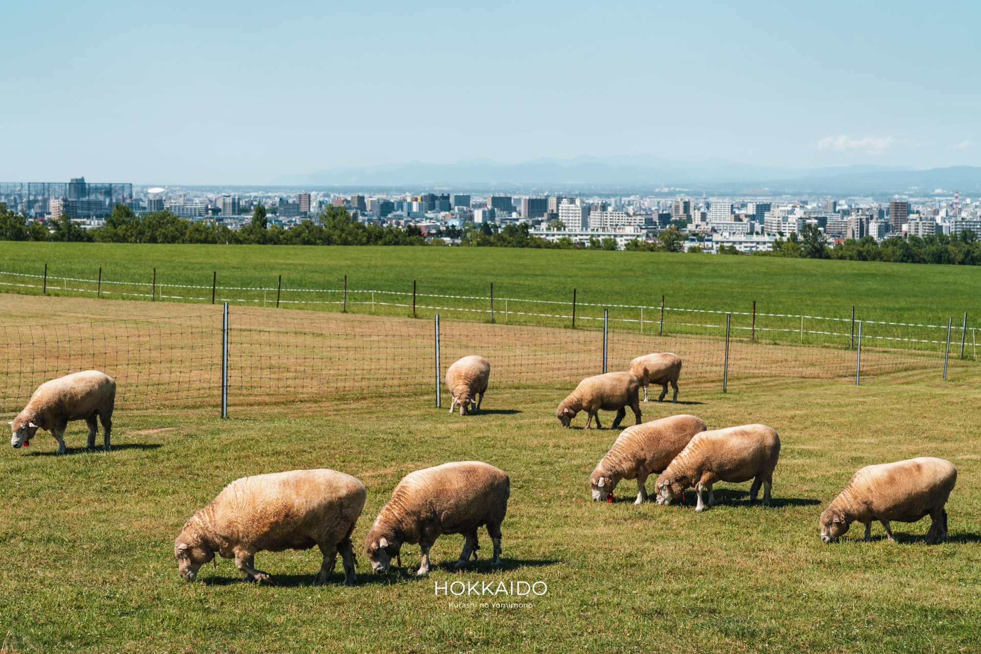 さっぽろ羊ヶ丘展望台 Hitsujigaoka Observation Hill 画像2