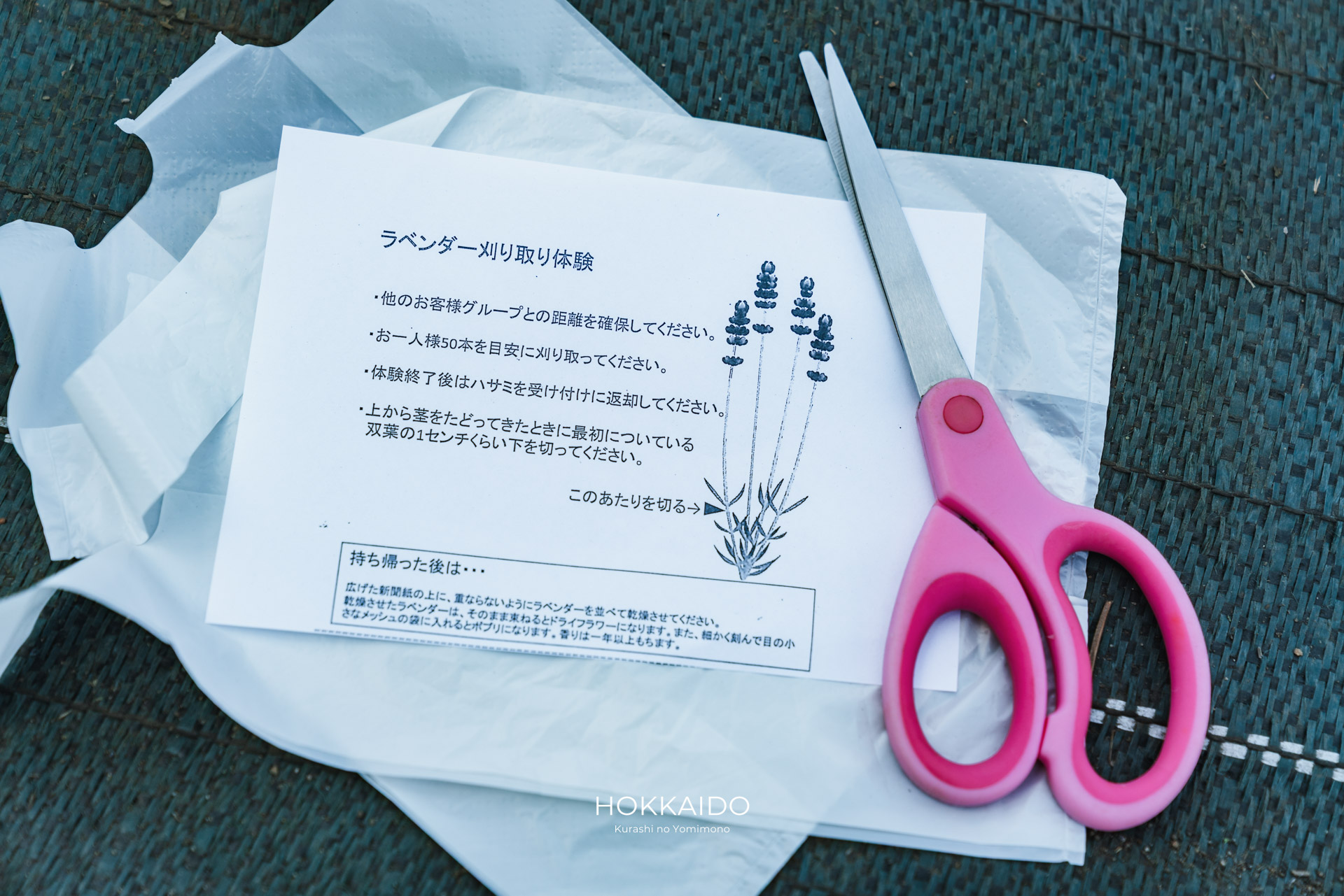 さっぽろ羊ヶ丘展望台 Hitsujigaoka Observation Hill 画像4