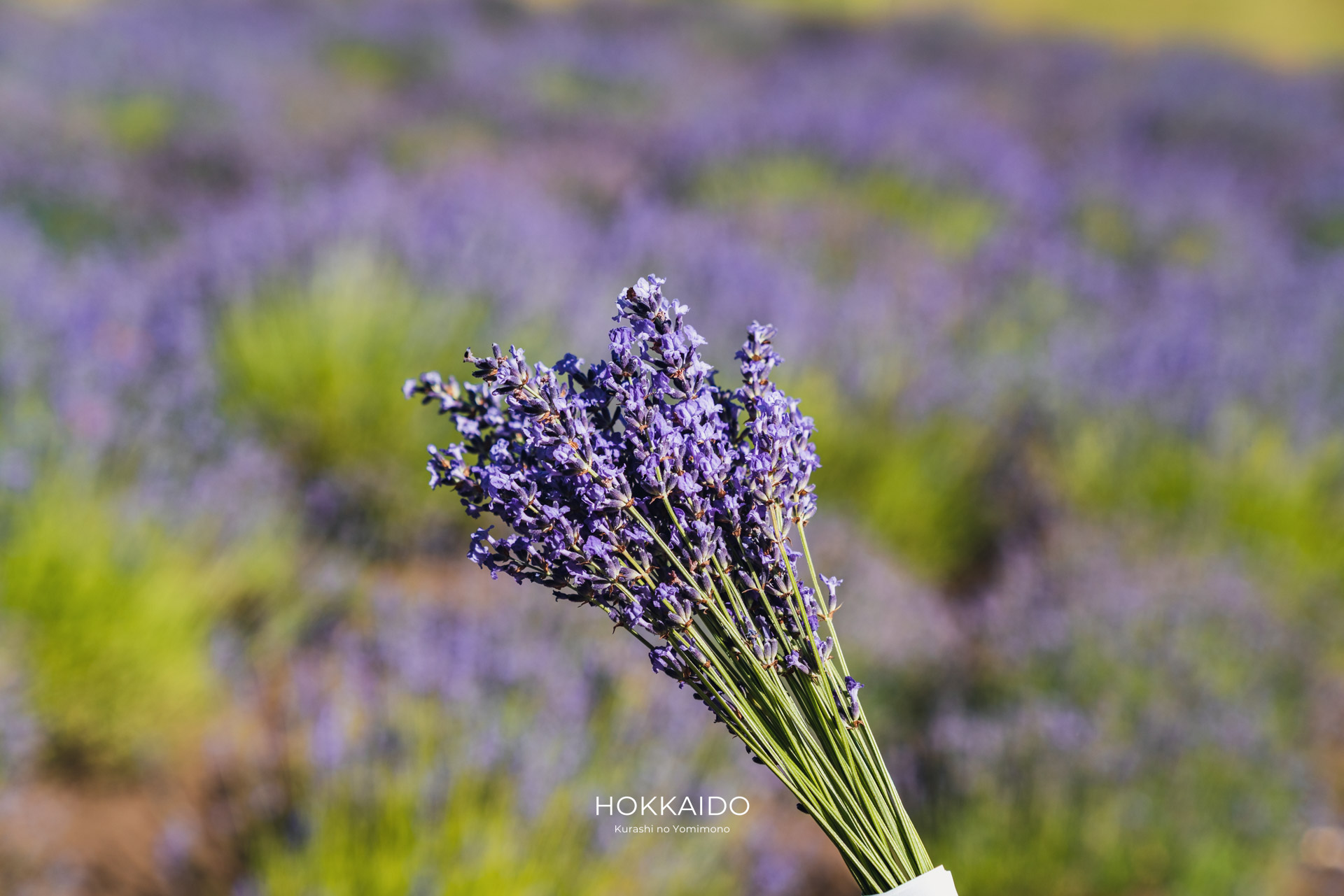 さっぽろ羊ヶ丘展望台 Hitsujigaoka Observation Hill 画像5