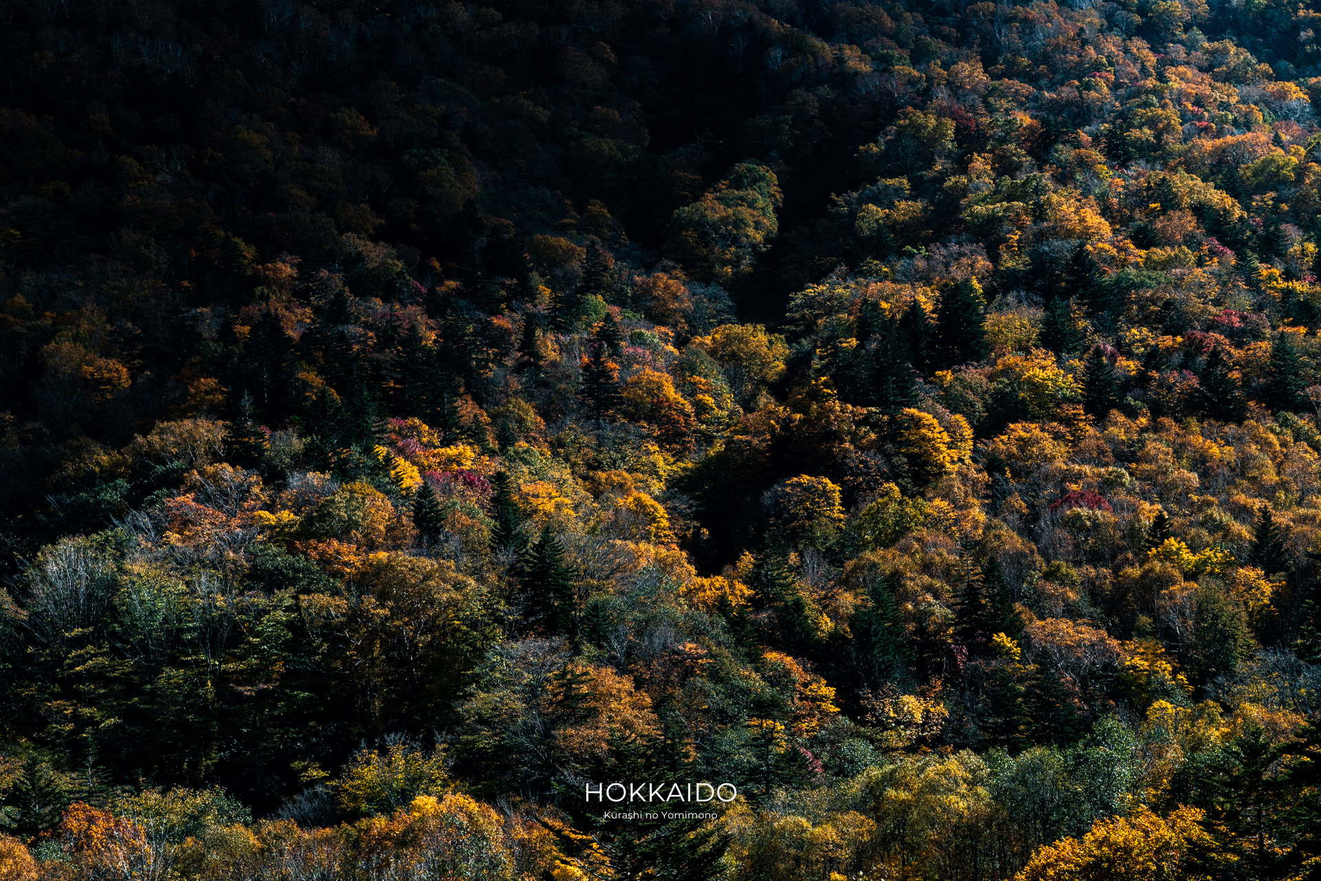 札幌国際スキー場 Sapporo Kokusai Ski Area 画像3