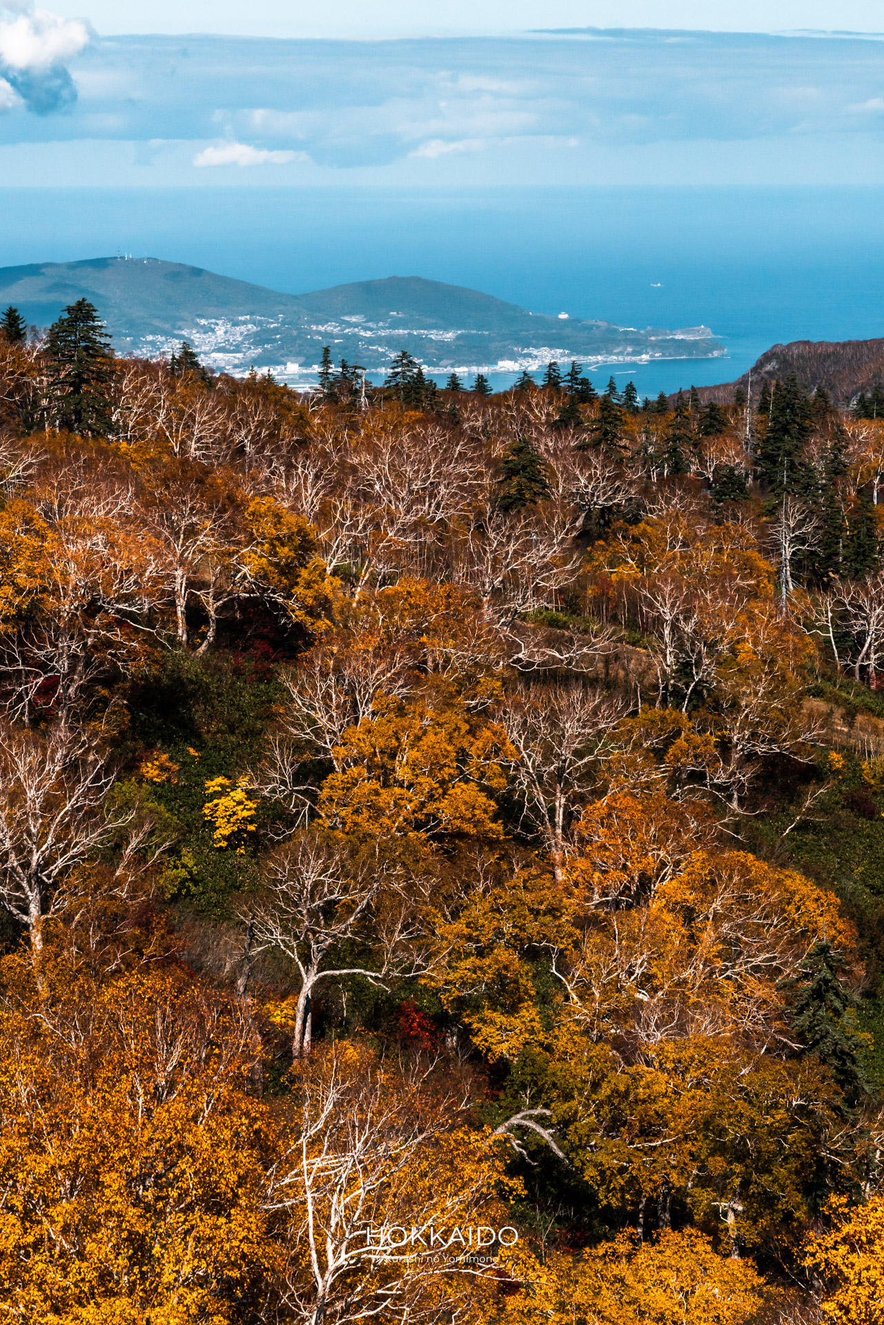 札幌国際スキー場 Sapporo Kokusai Ski Area 画像6